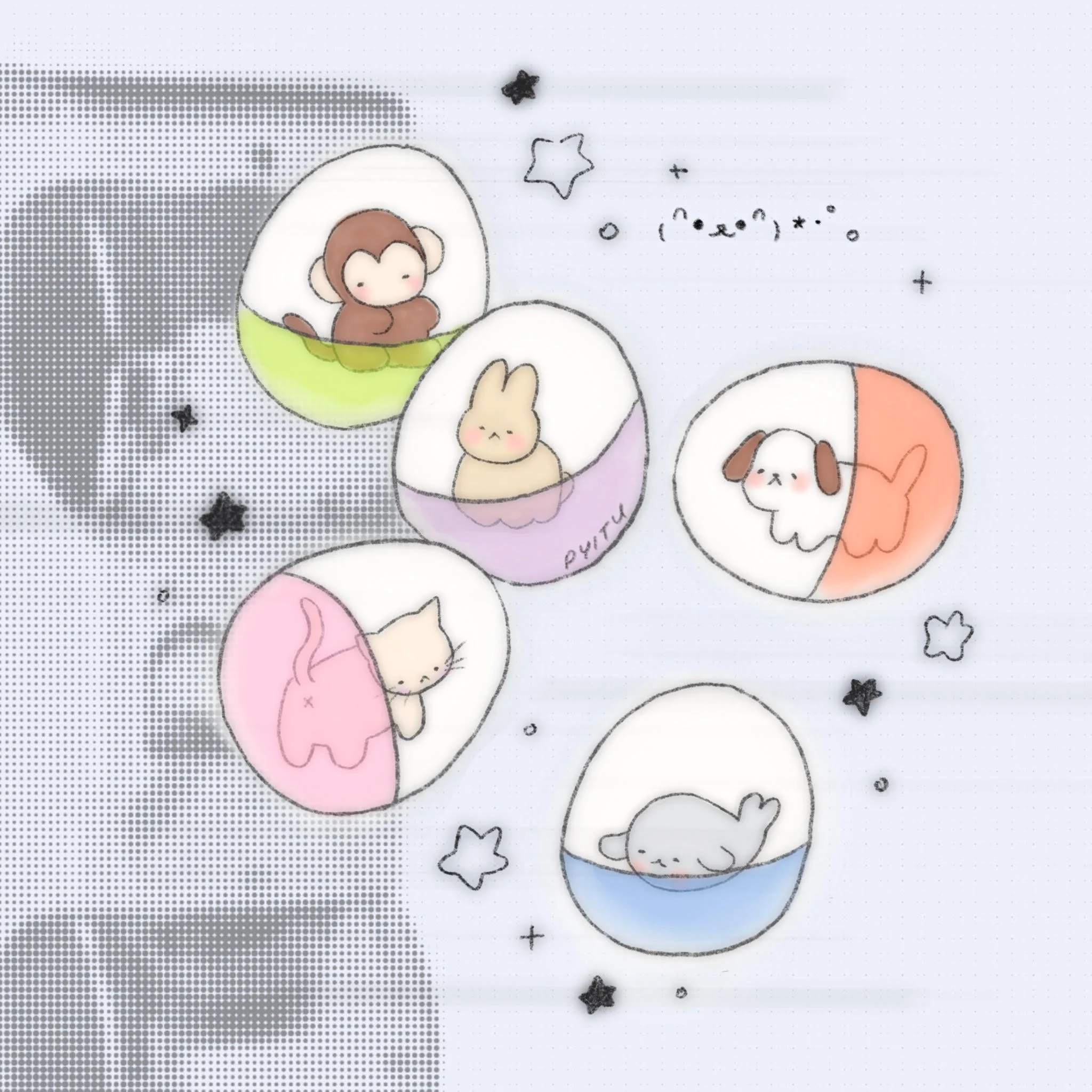 capsule pets ✿˖°
