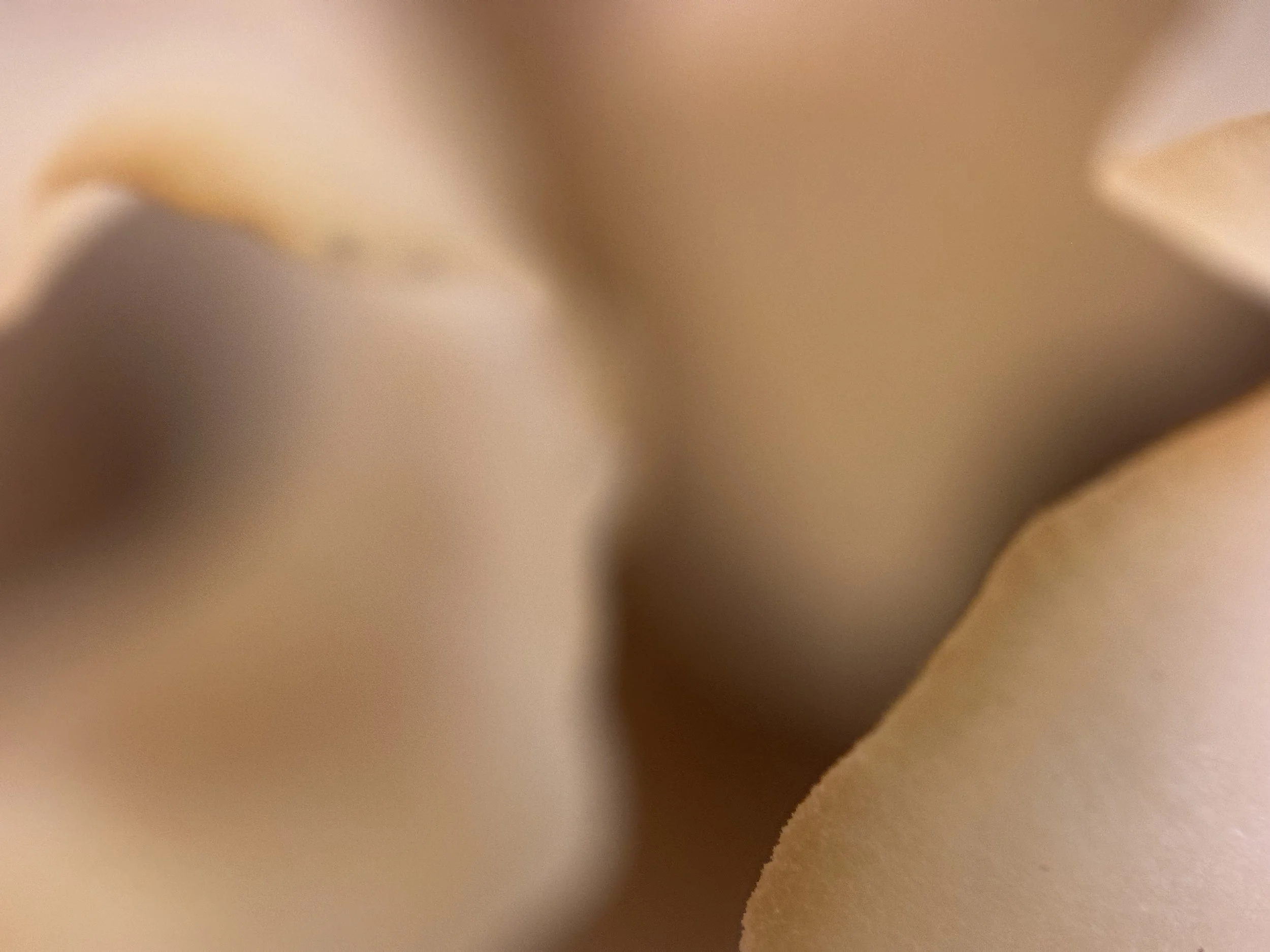 A close-up of a cauliflower fungus.