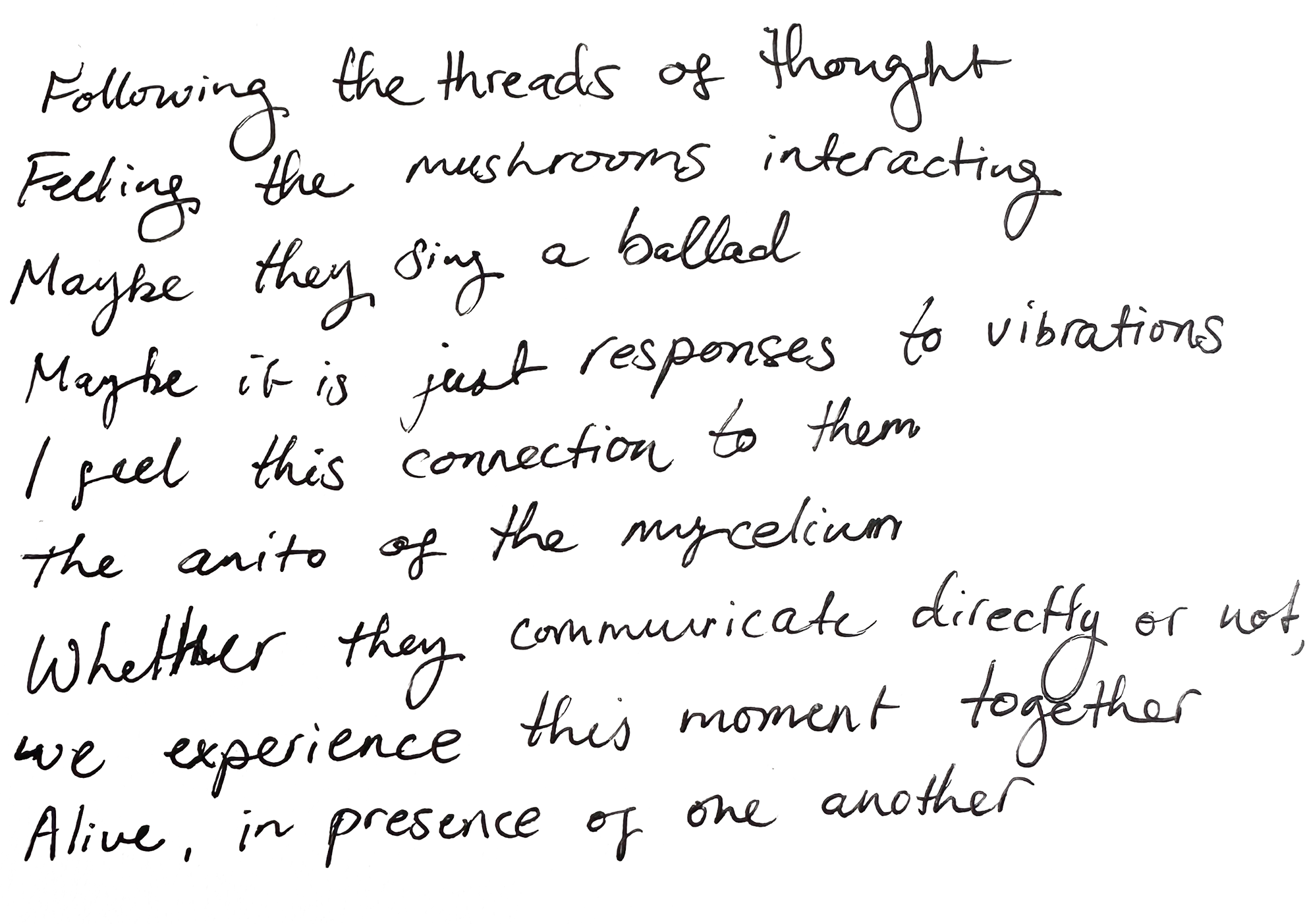Close-up of handwritten poem.