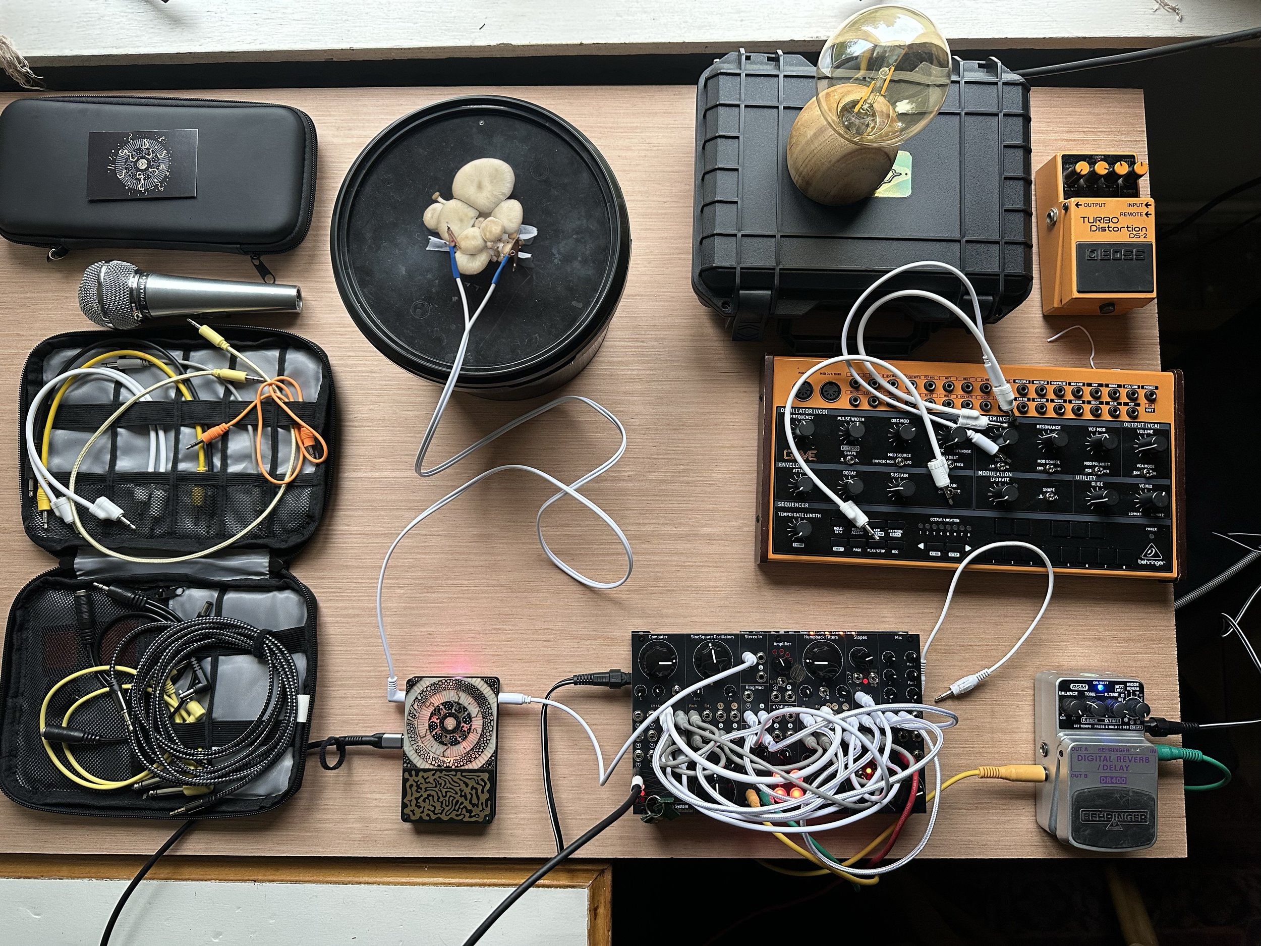 A wooden table with assorted electronic music equipment, cables, a microphone, and oyster mushrooms.