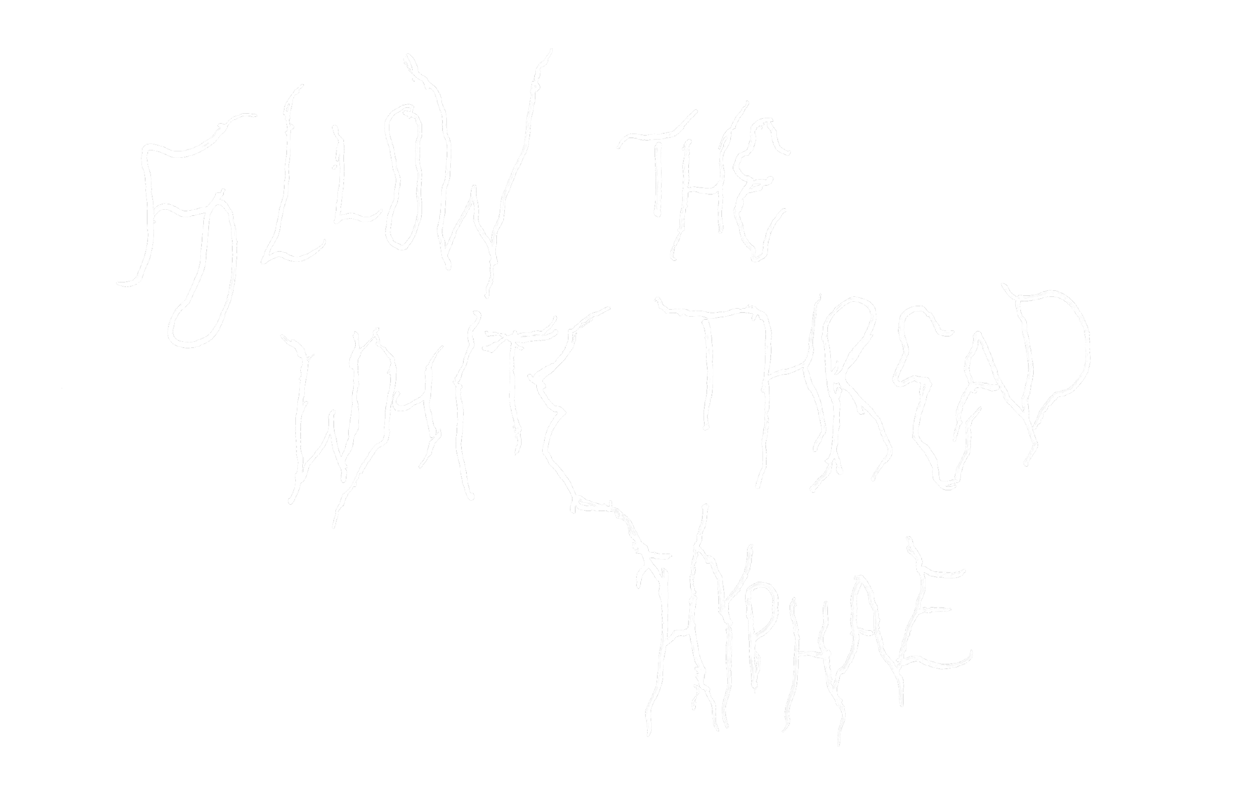 Text in white handwritten font reads 'FOLLOW THE WHITE HYPHAE' on a black background.