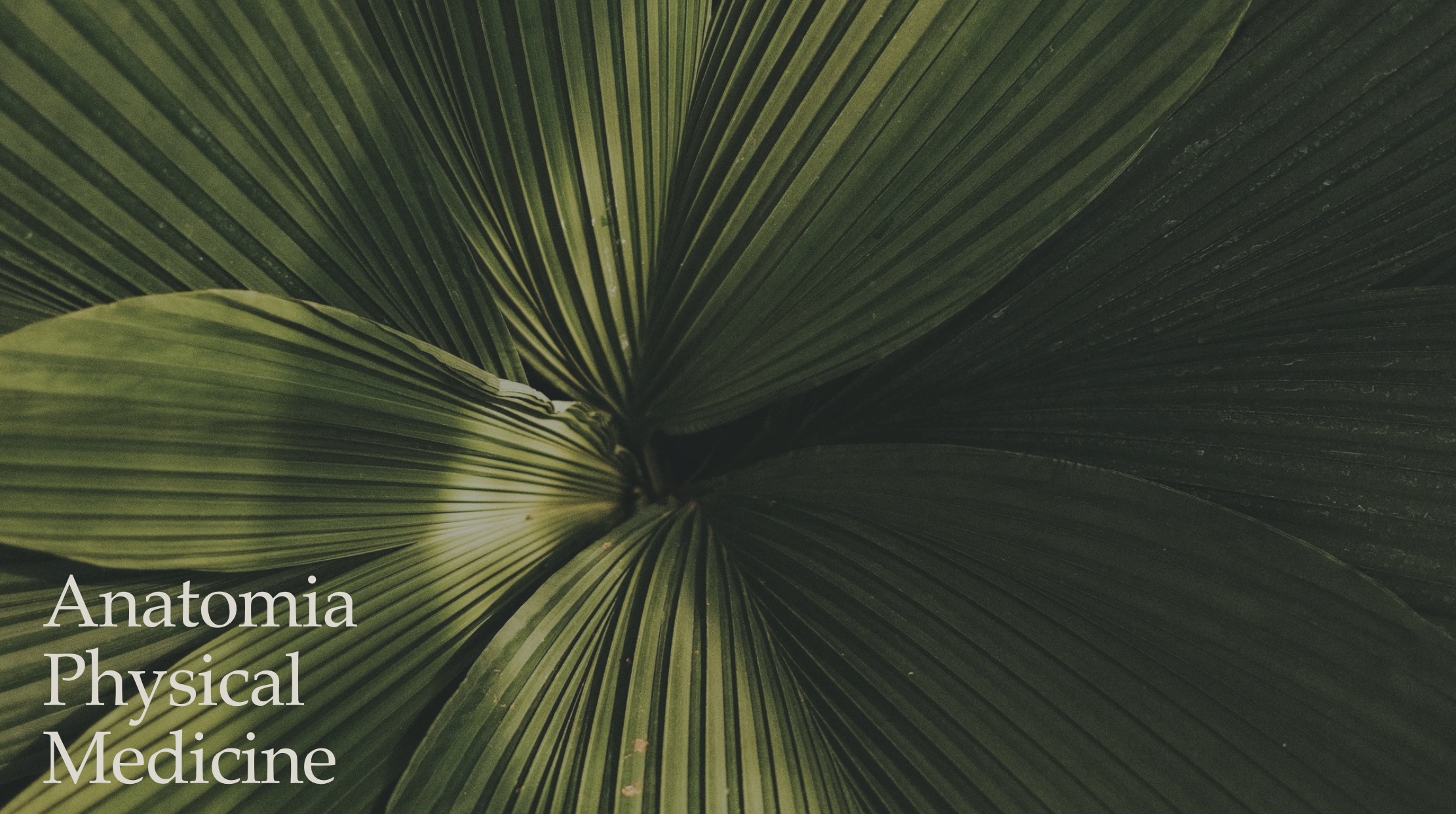 Close-up of green palm leaf with text overlay "Anatomia Physical Medicine"