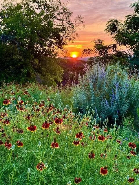 Sunrise Flow   (TUES/THURS 7:30AM)