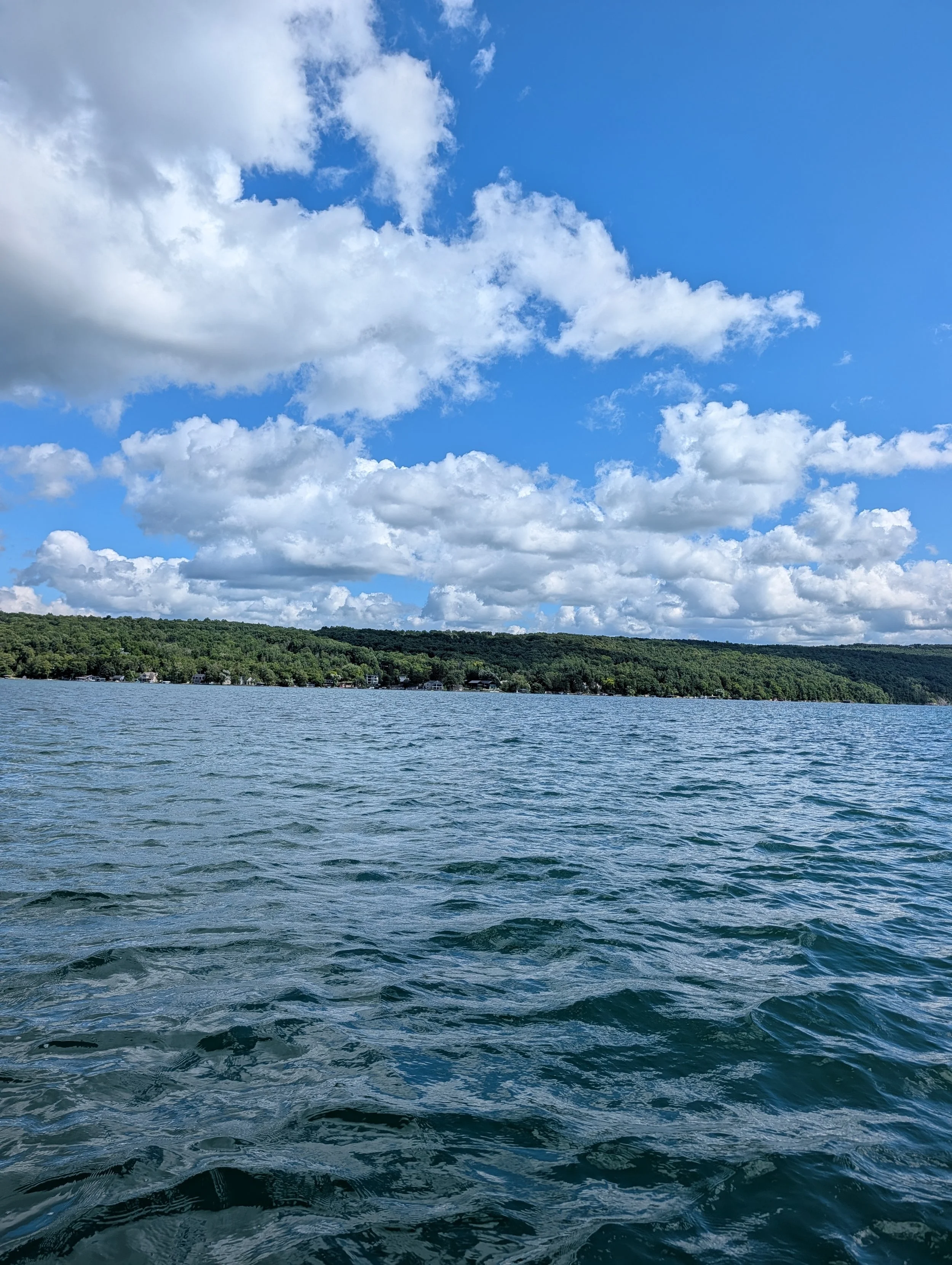 Image is of Canandaigua Lake in upstate NY
