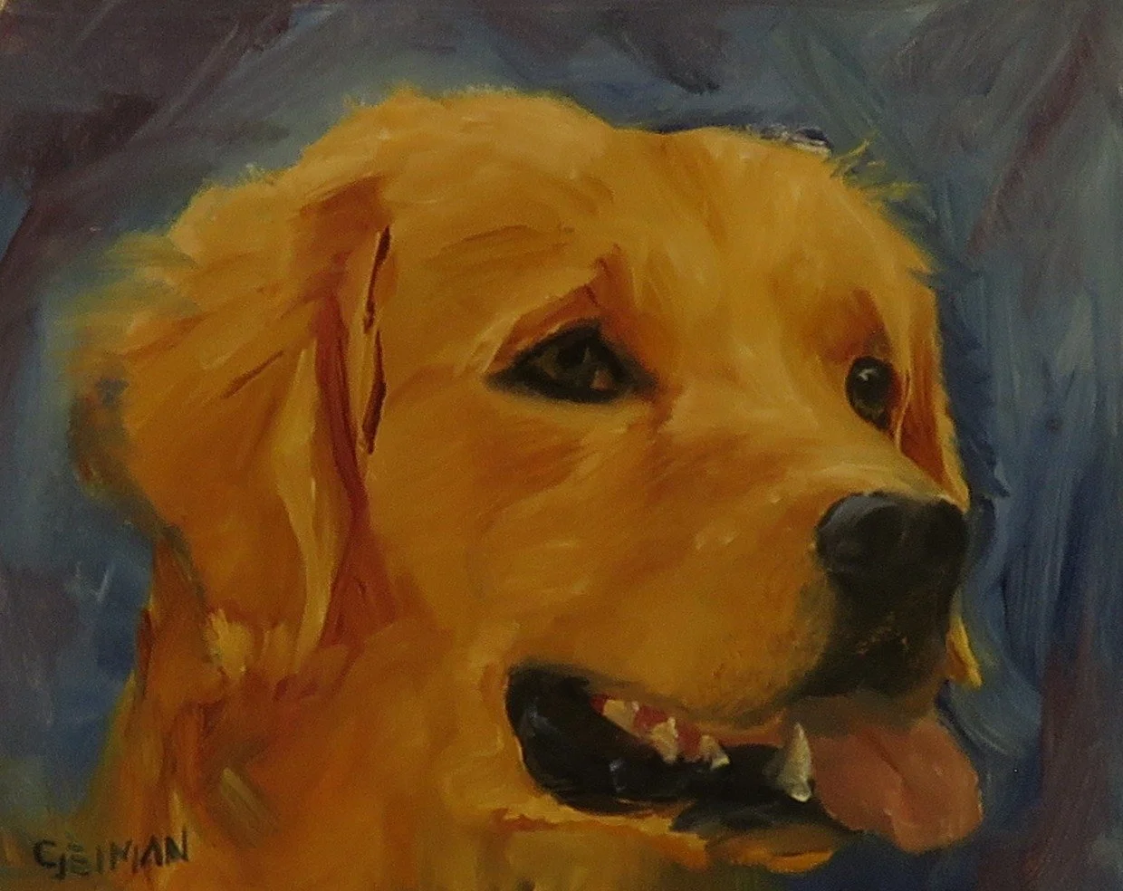Golden Retriever