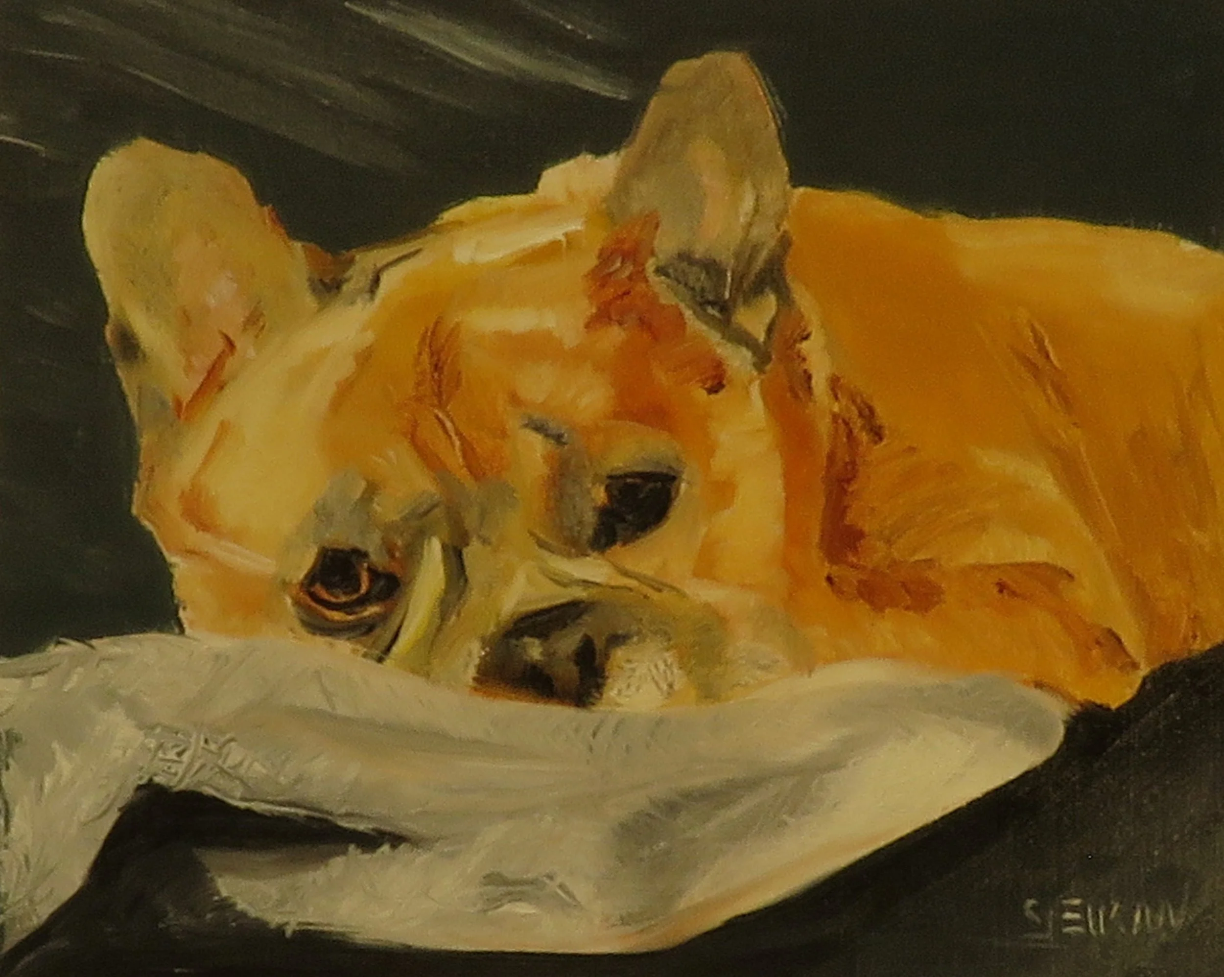 Close-up oil portrait of a red French Bulldog.