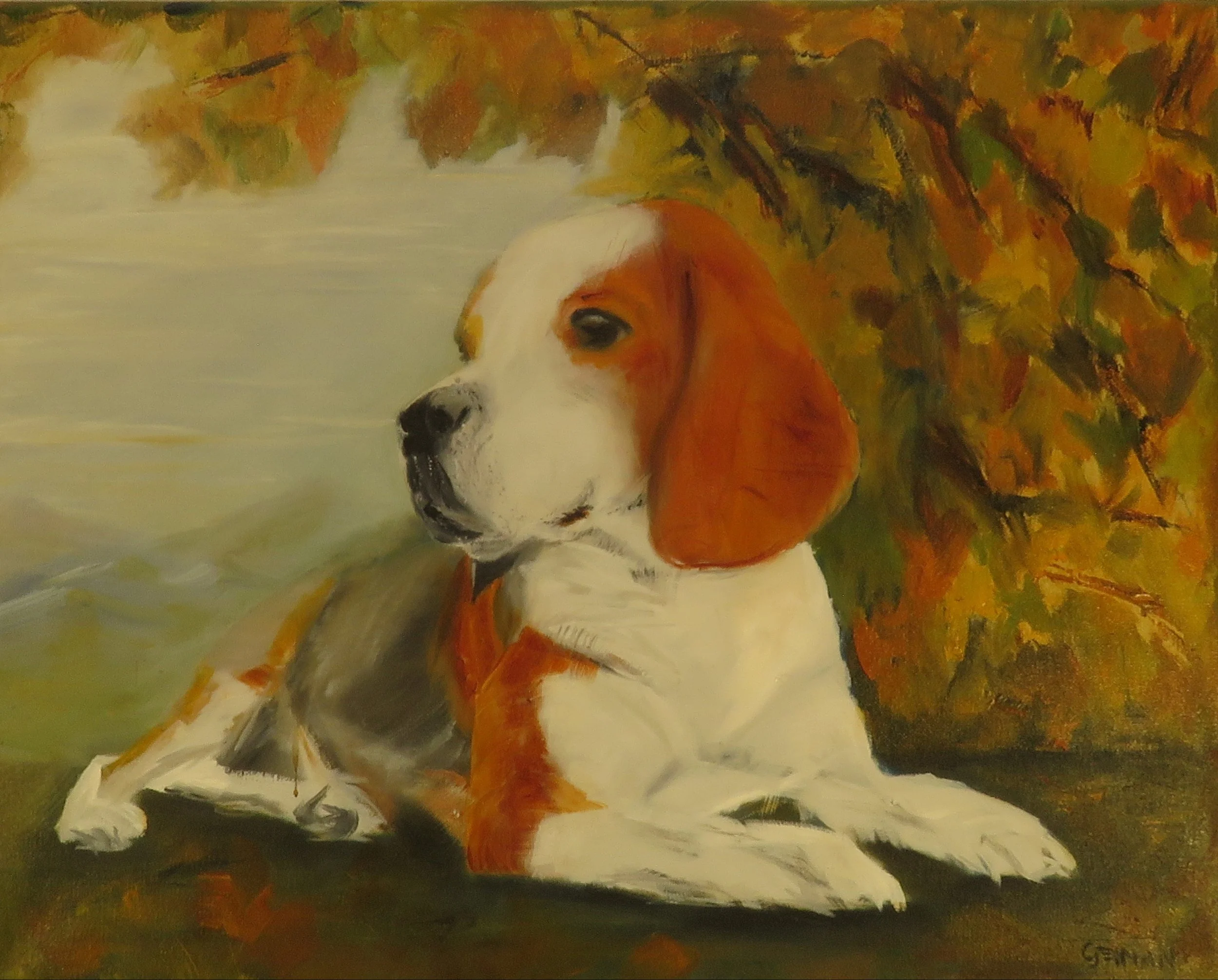 Beagle 1