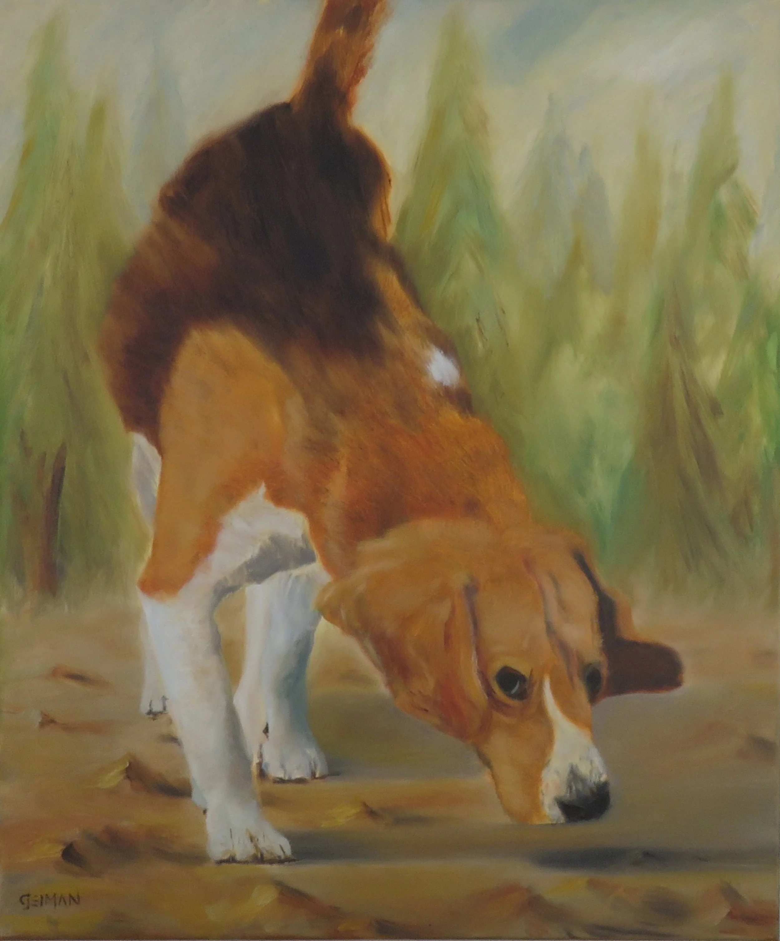 Beagle
