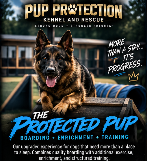 The Protected Pup