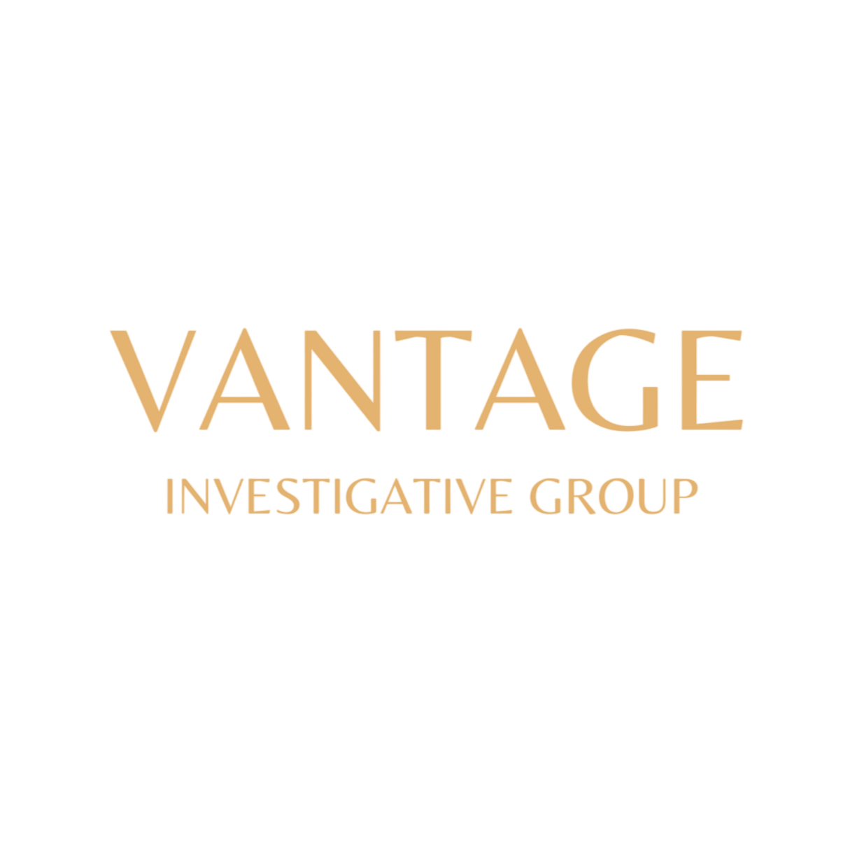 Logo for Vantage Investigative Group in gold and black colors.