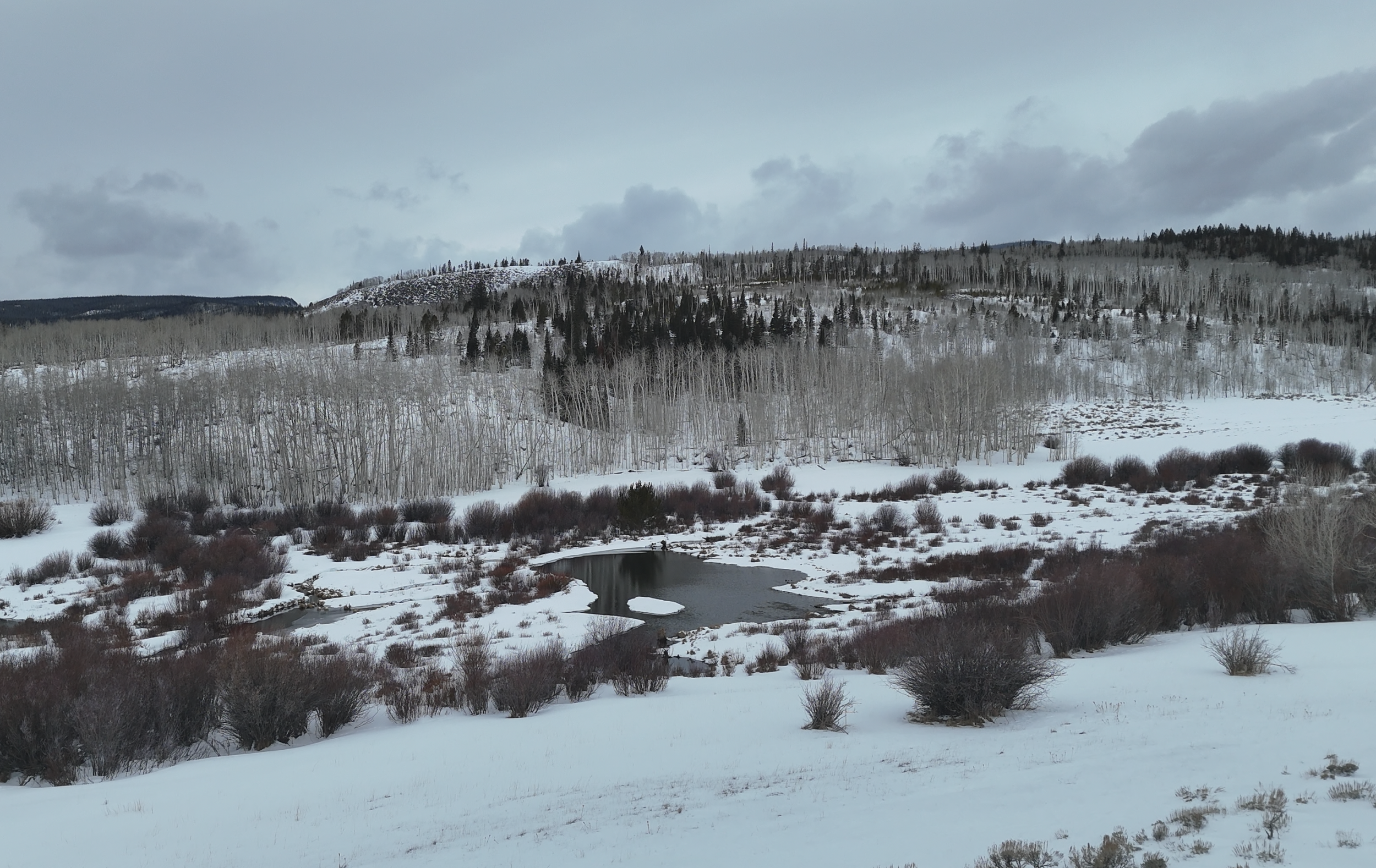 Snow-covered landscape with bare trees, a small open water body, and mountains in the background under a cloudy sky.