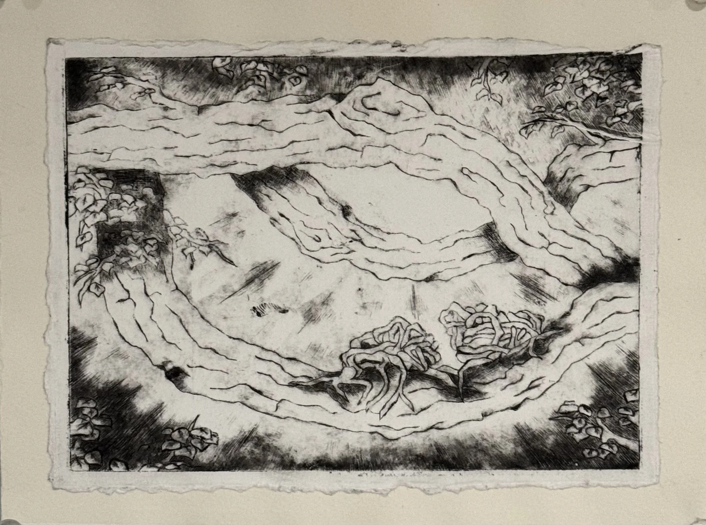 Enredaderas, 2024,
Intaglio drypoint etching on acrylic, 
5"x7"
