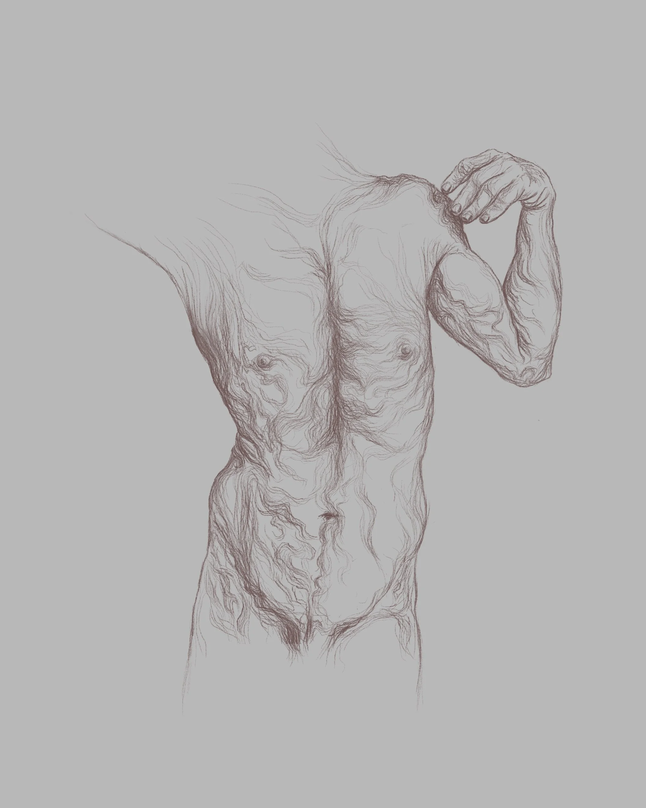 Torso of a Man II_16x20.jpg