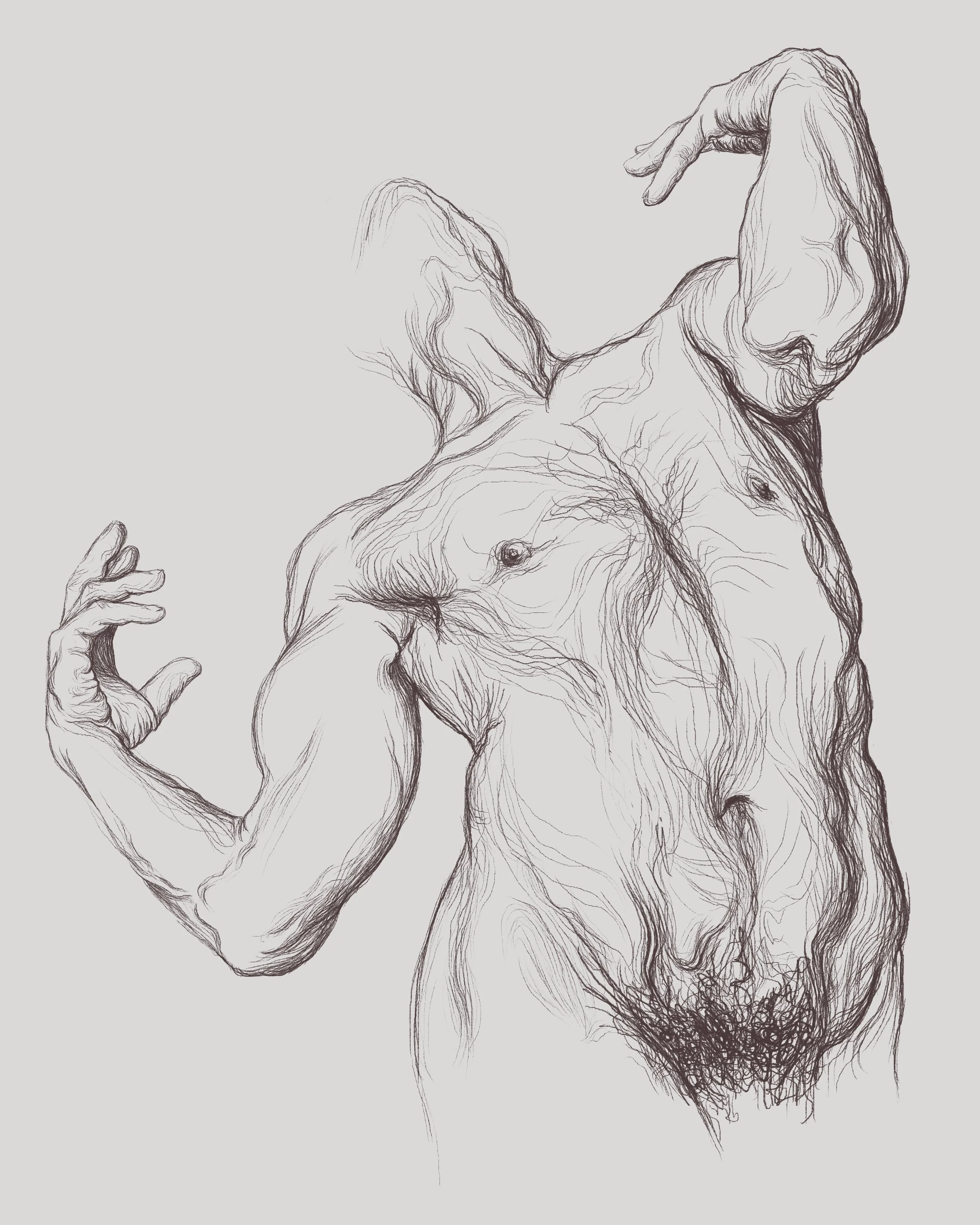 Wild Beasts_40x50.jpg