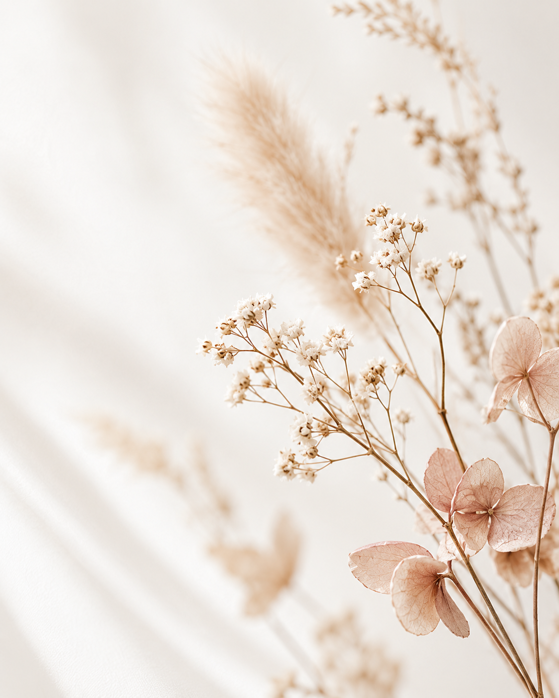 Dry beige flowers and leaves on a light background.