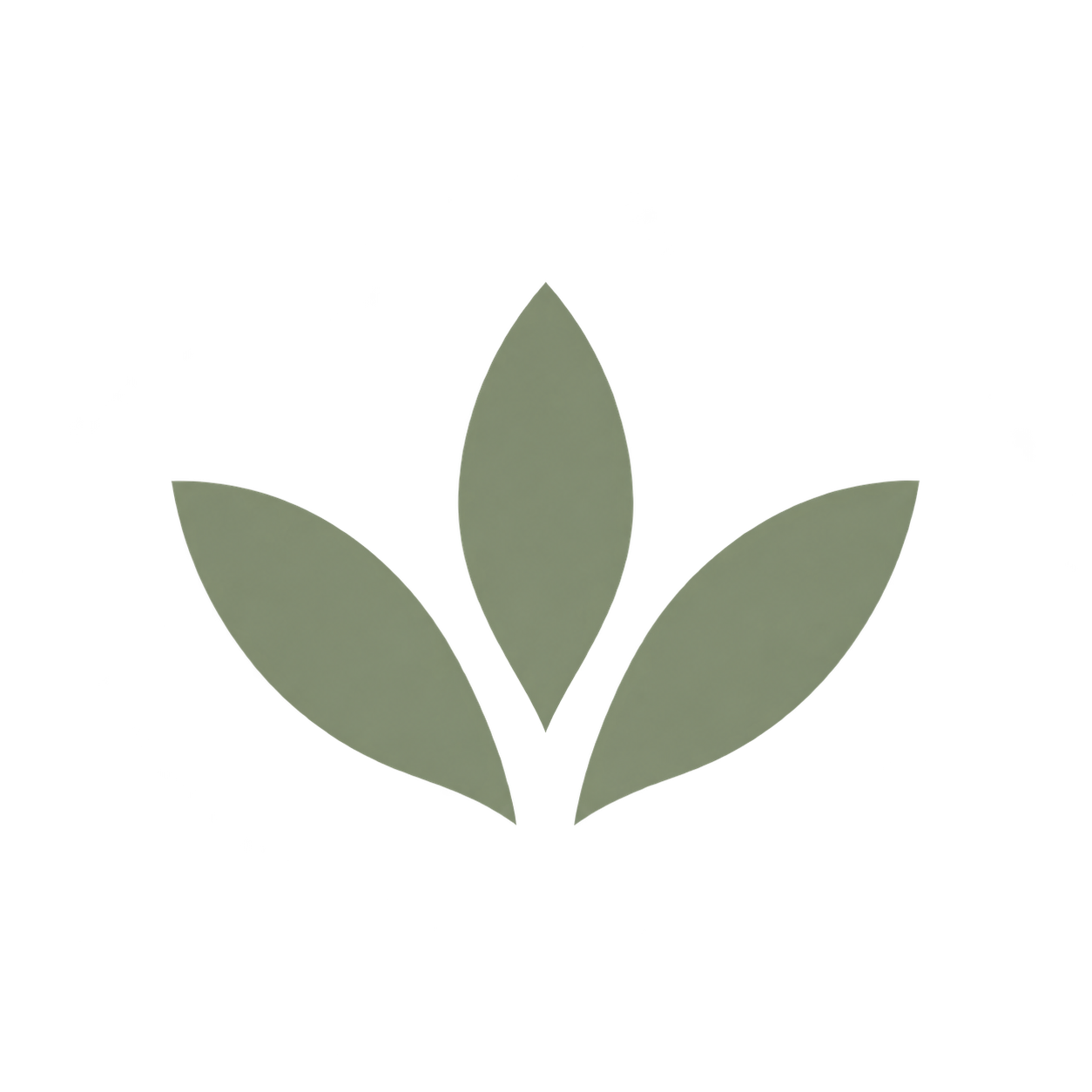 Illustration of a small plant with three leaves growing from the soil.