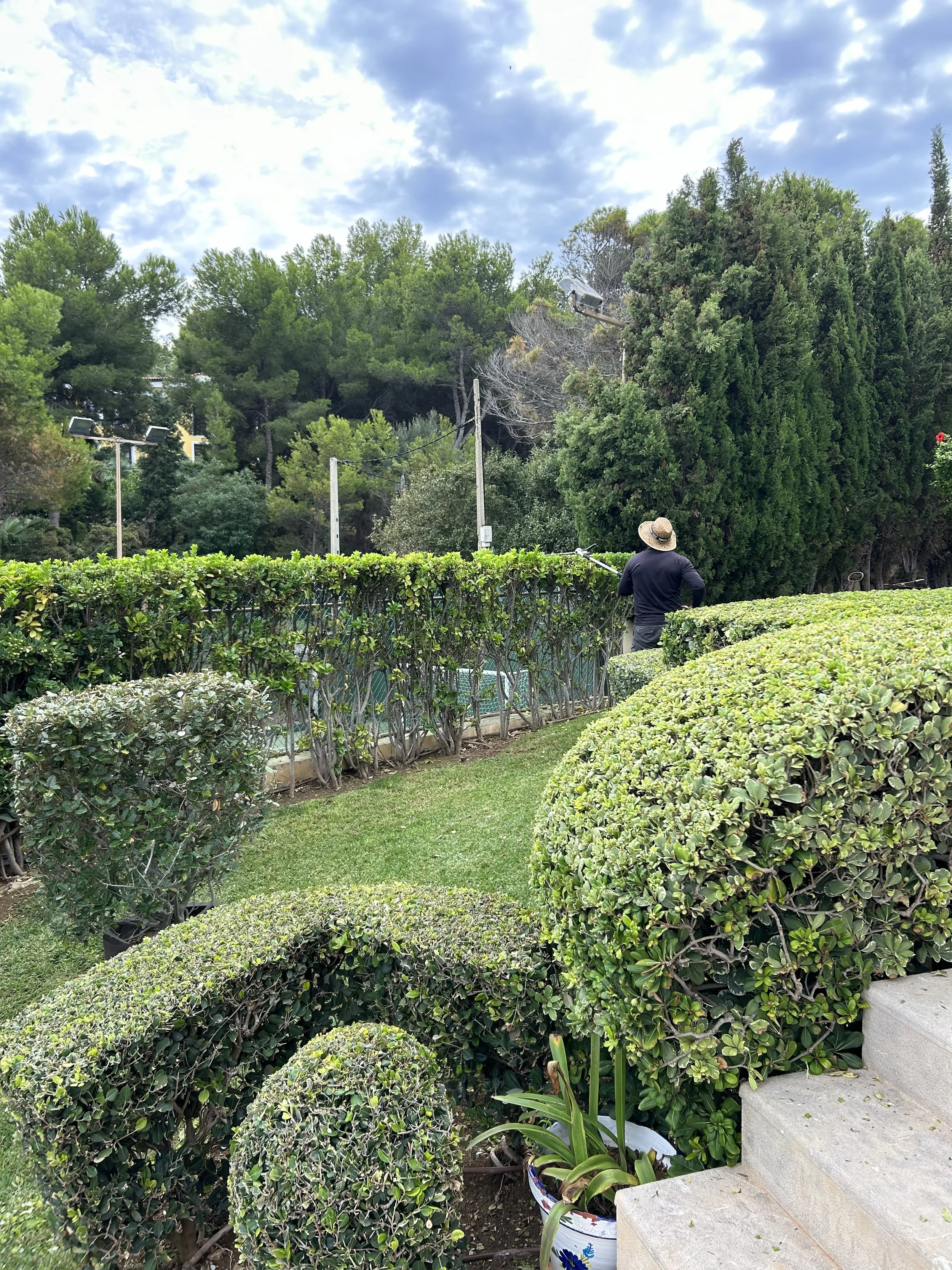 IMG_2385.jpeg