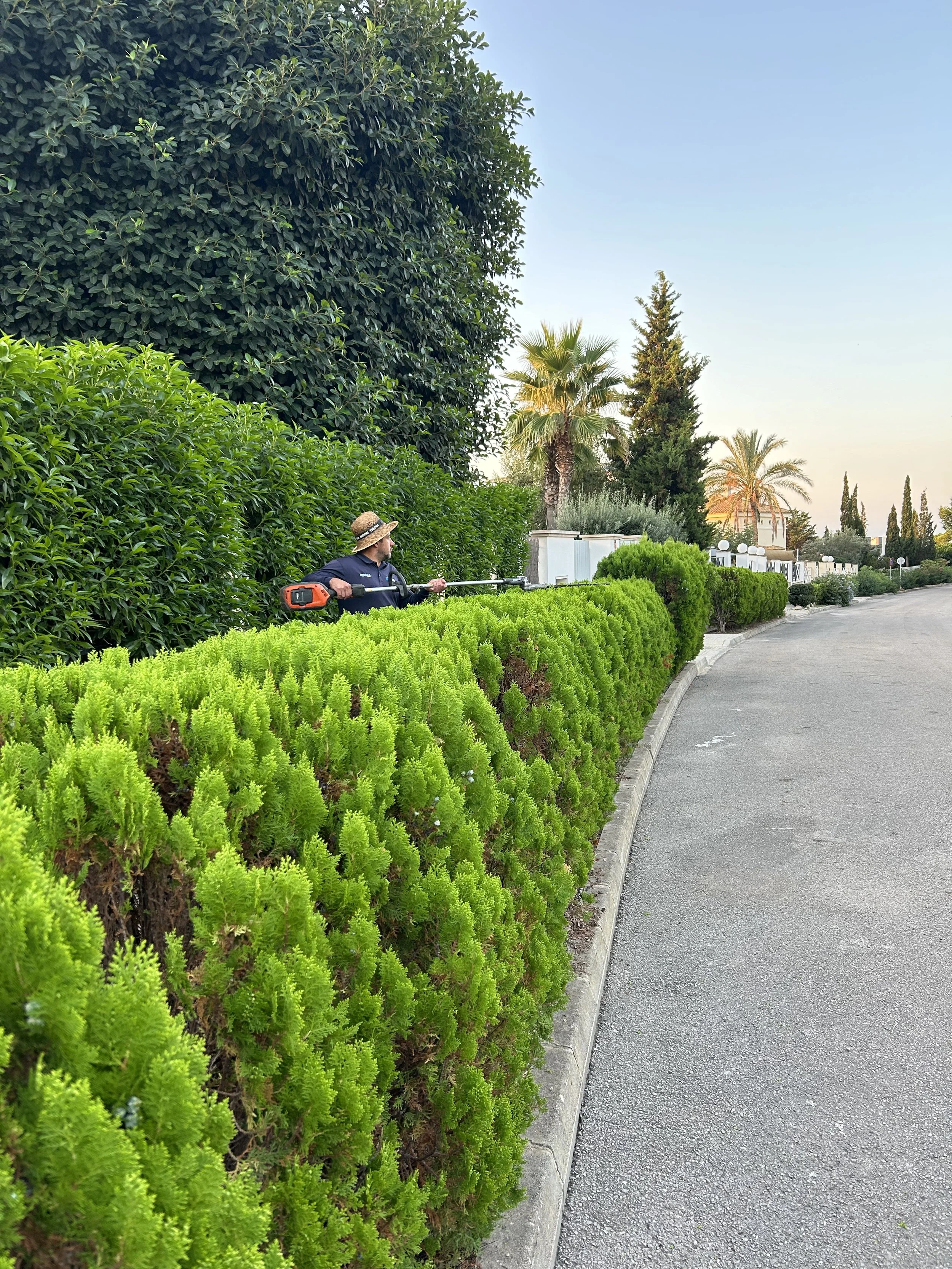 Persona con sombrero y ropa oscura usando una podadora de césped en un jardín con arbustos verdes y palmeras, en un día soleado y despejado.