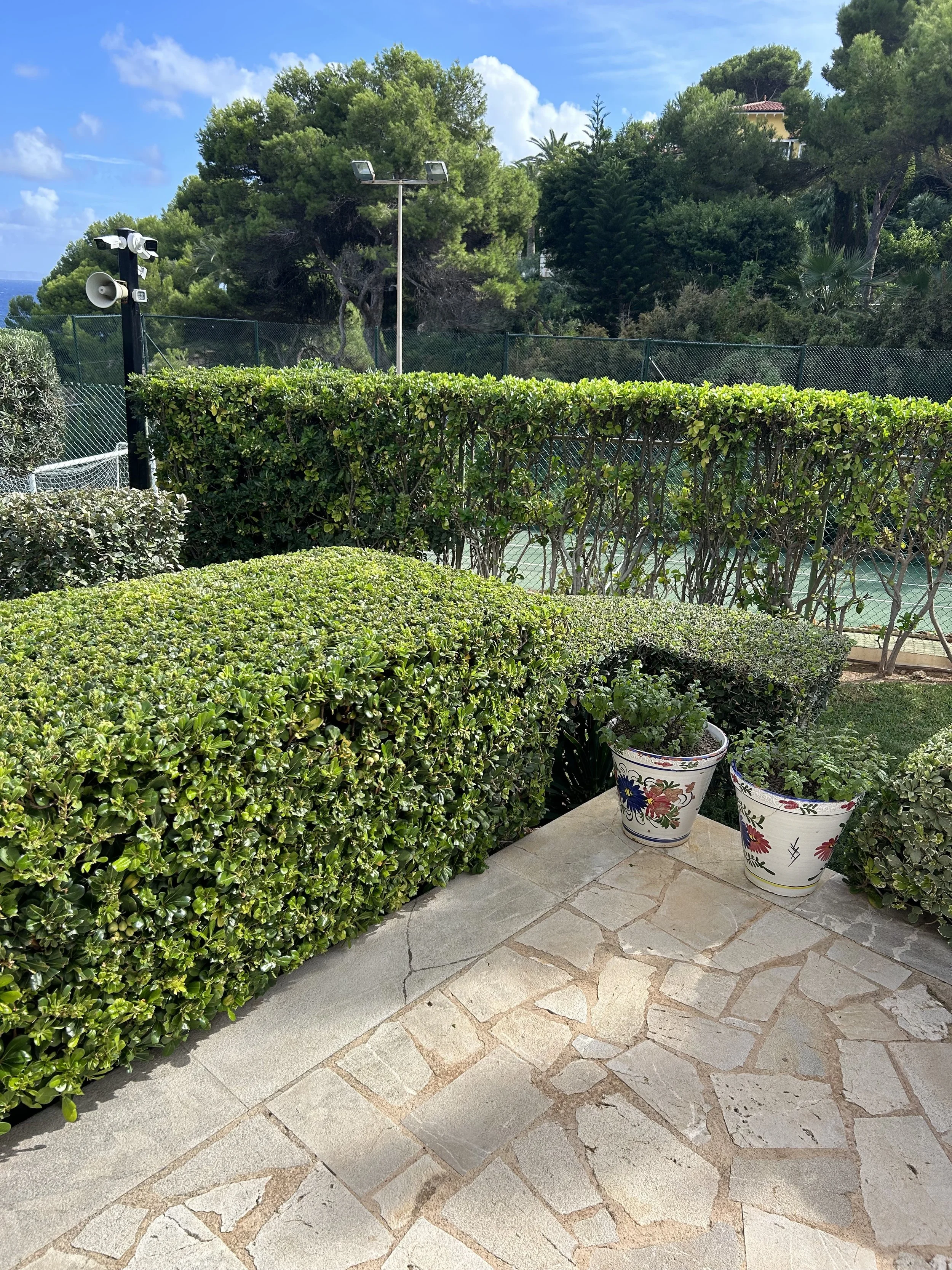 IMG_3076.jpeg
