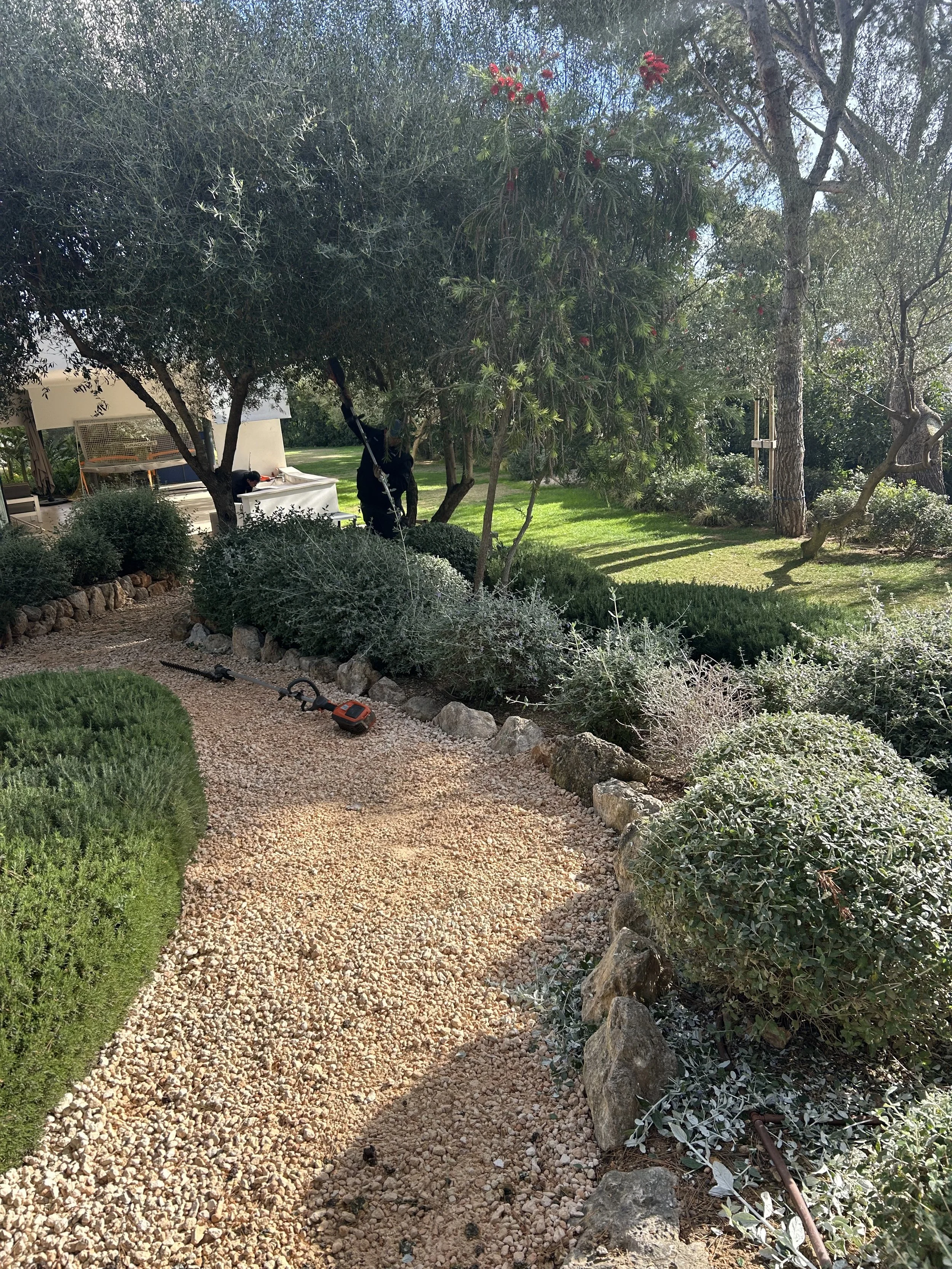 IMG_9582.jpeg