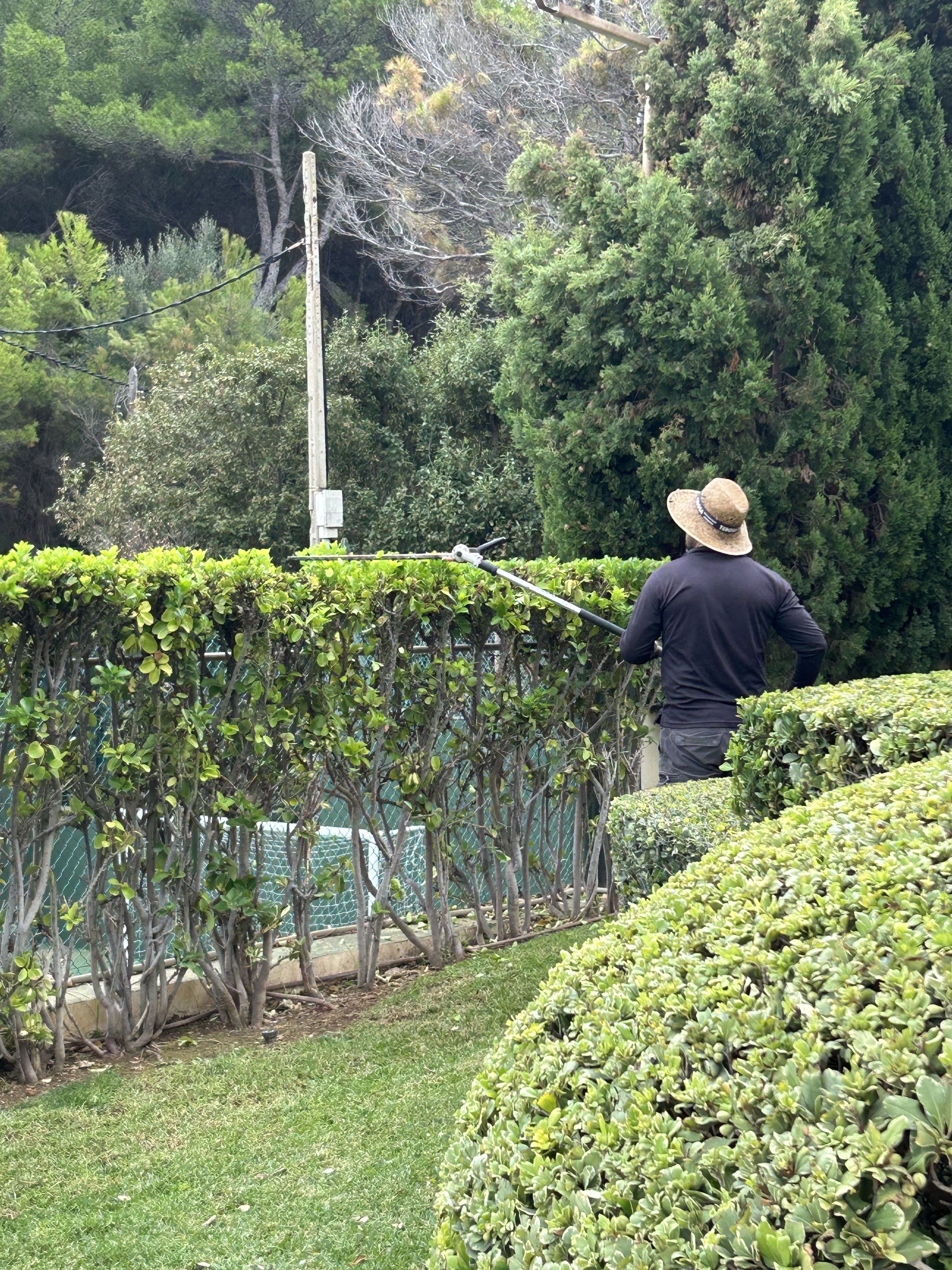 Mantenimiento de Jardines