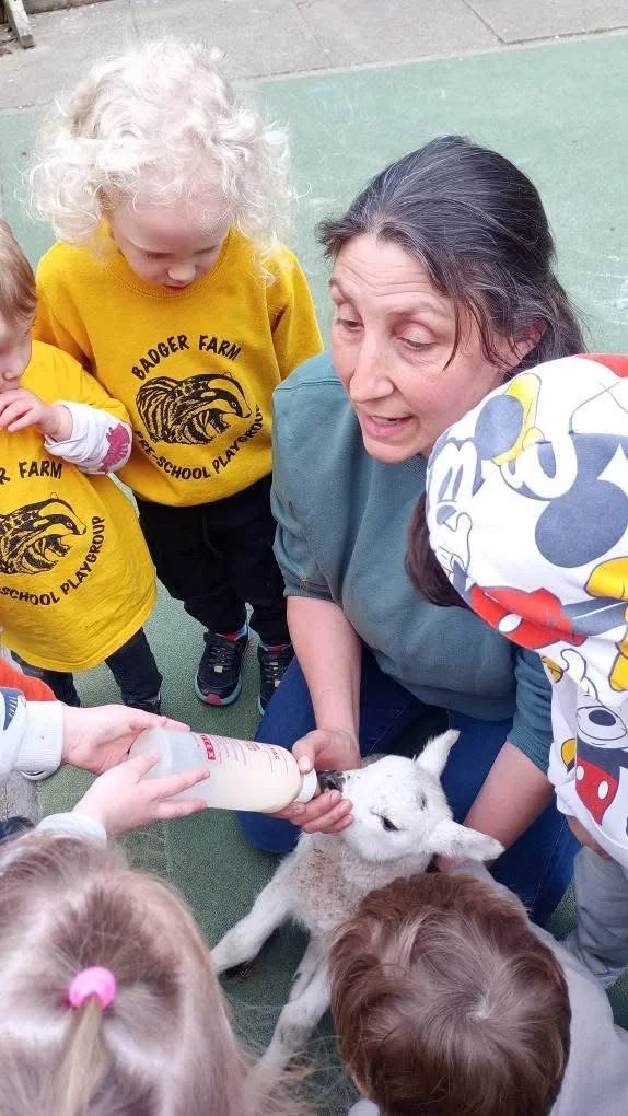 Group of young children and an adult woman bottle-feeding a small white baby goat, on a green outdoor surface.