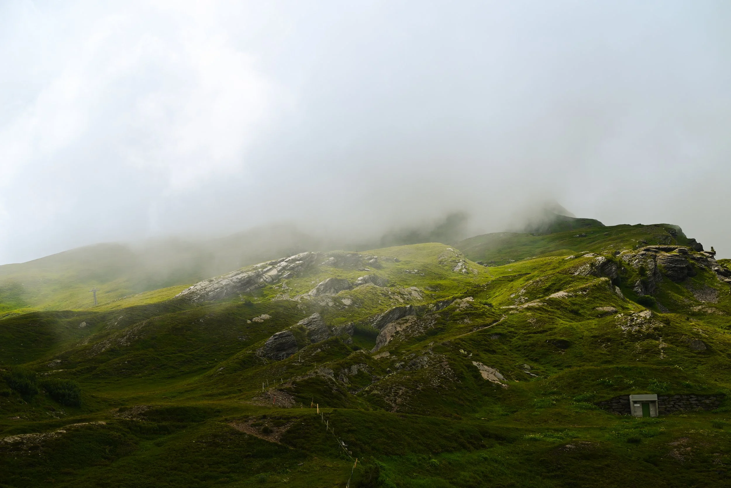 DSC_2201.jpg