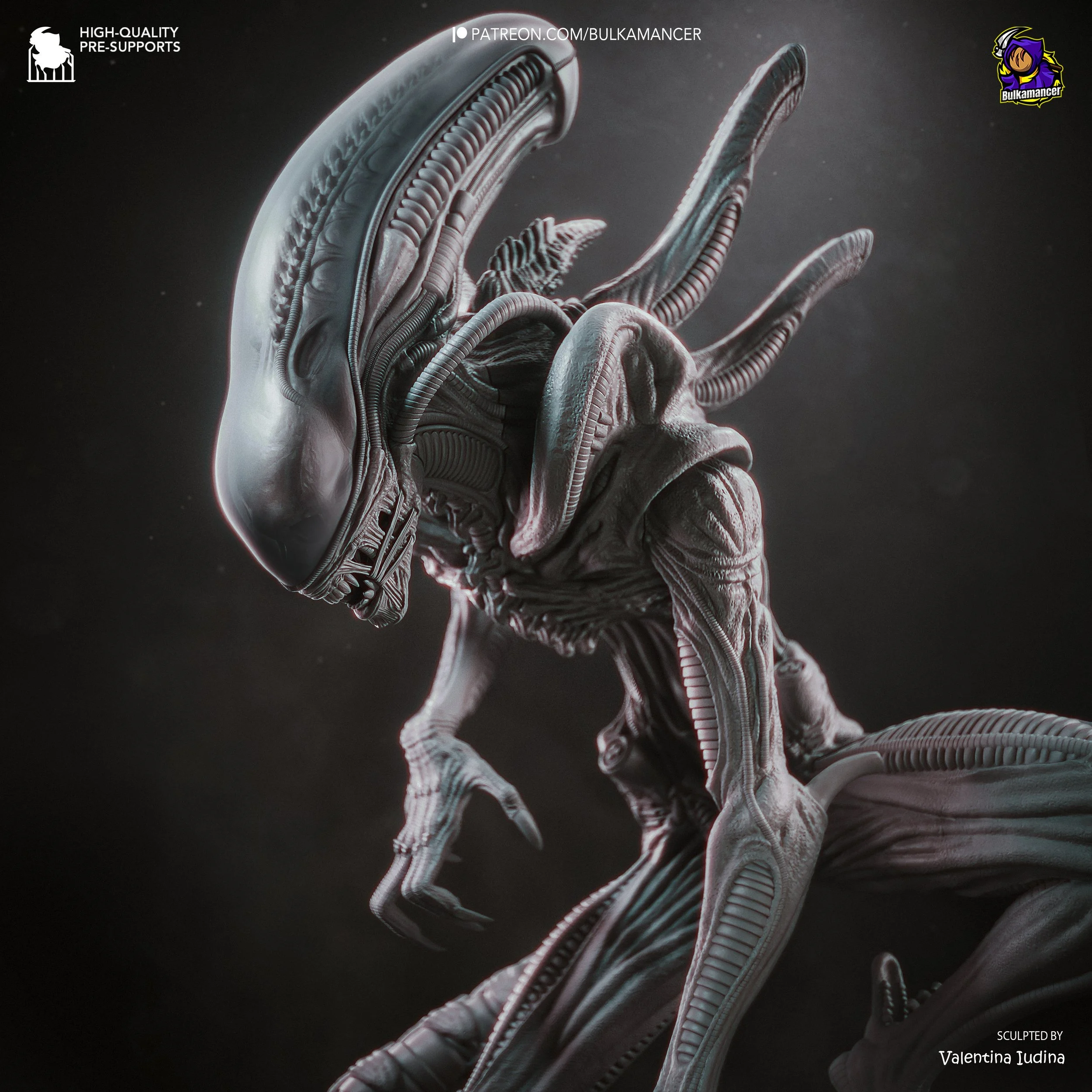 Xenomorph_grey-1.jpg