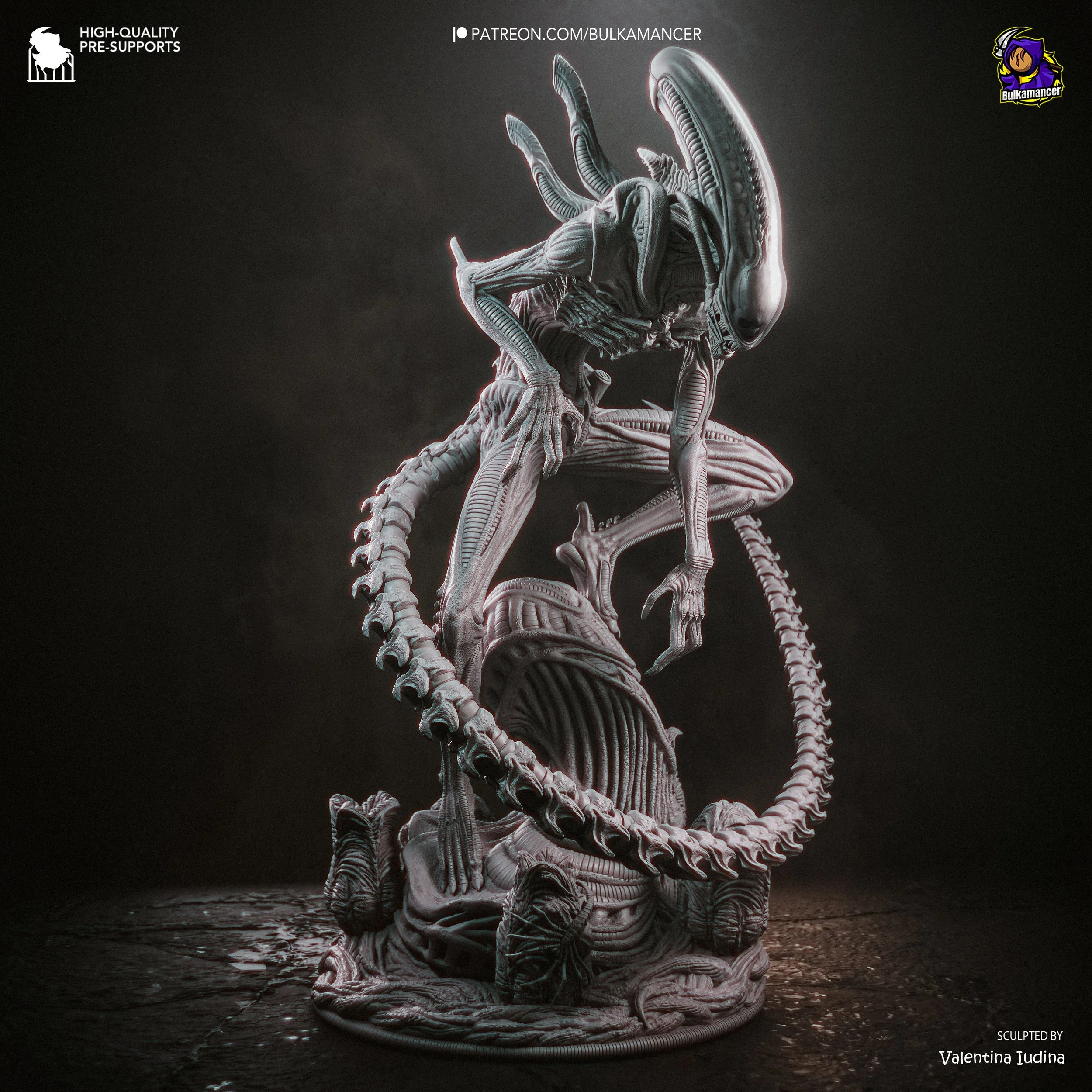 Xenomorph_grey-4.jpg