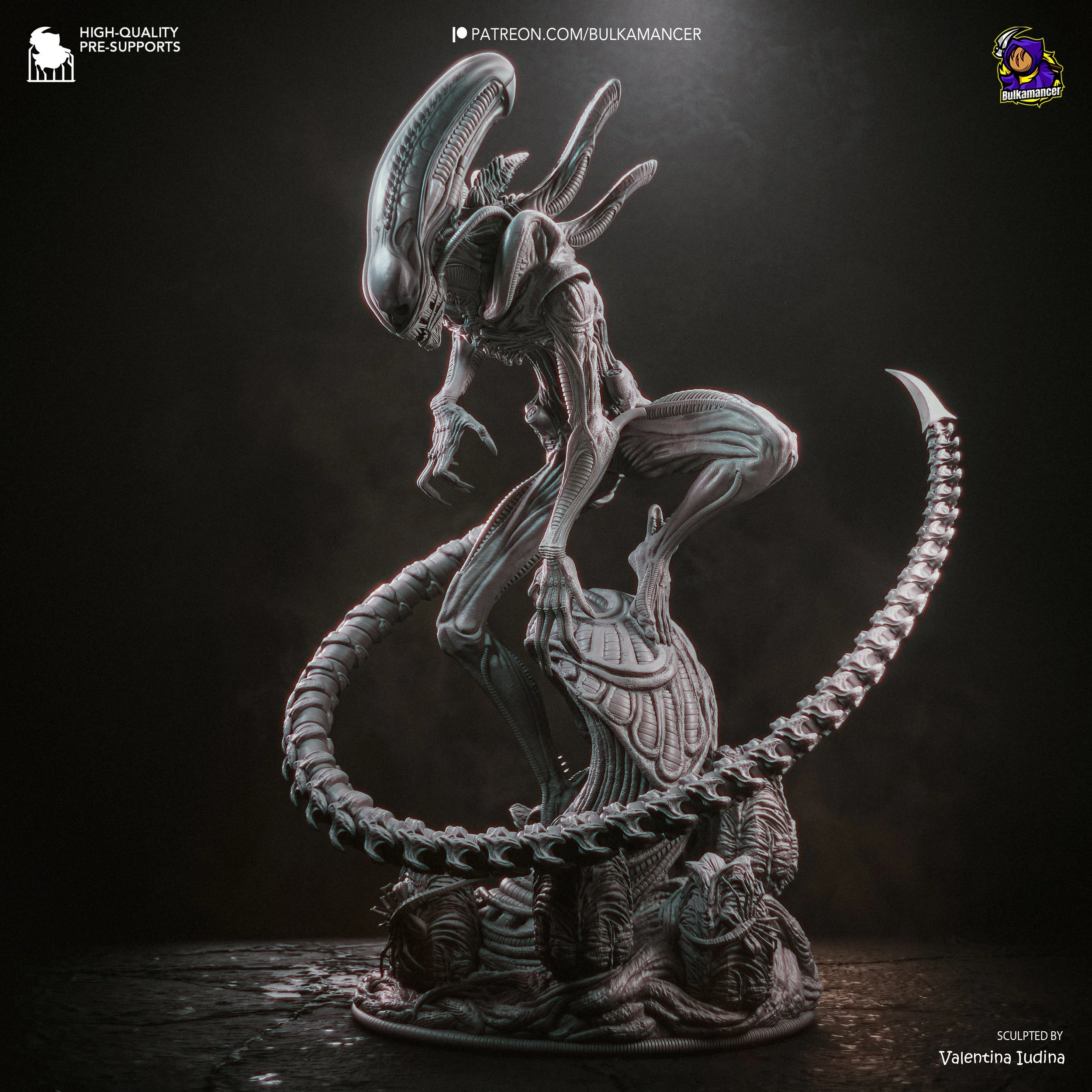 Xenomorph_grey-2.jpg