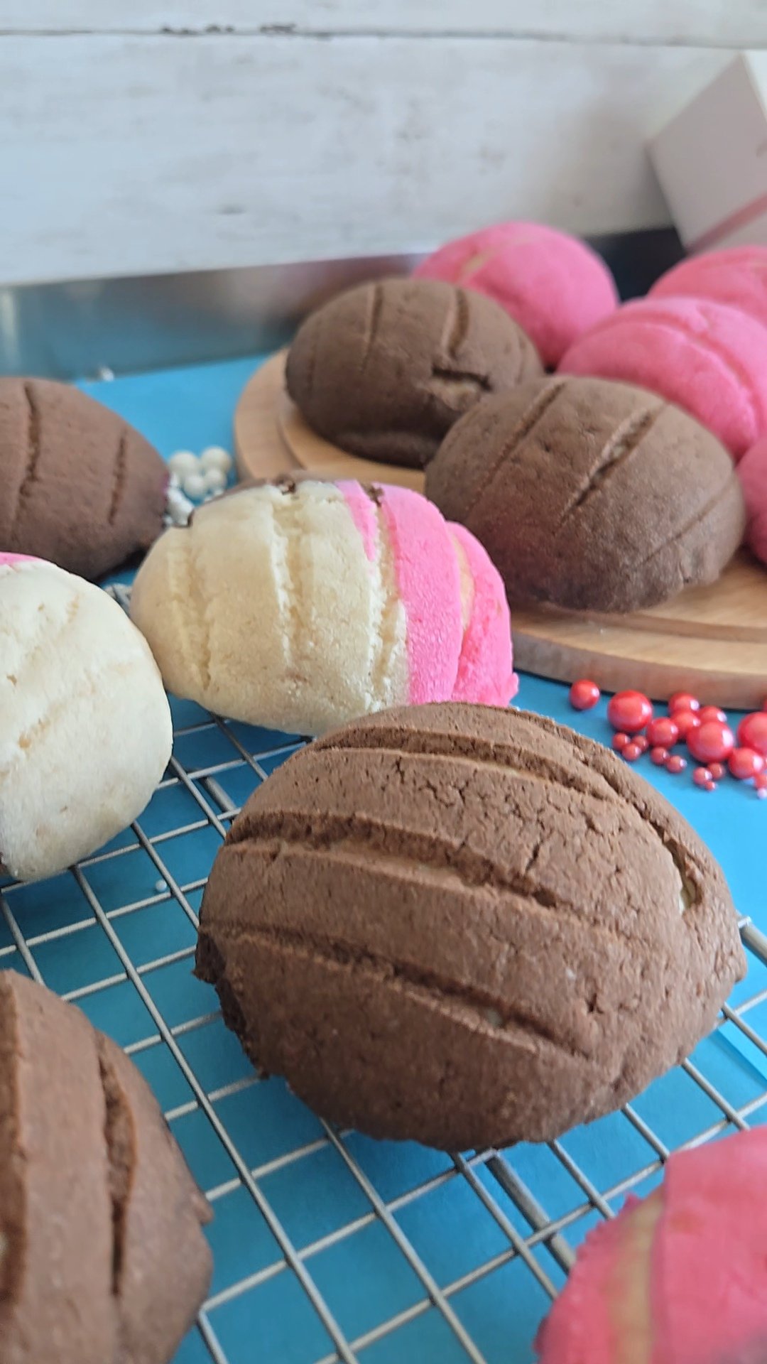Conchas