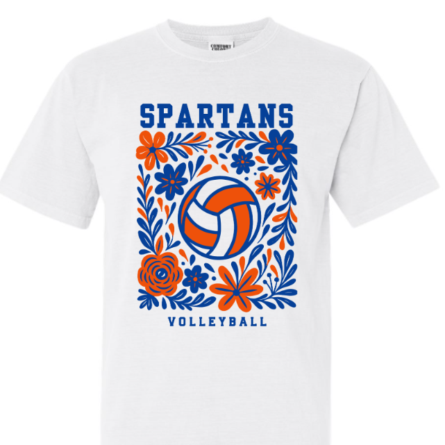 whte volleyball.png