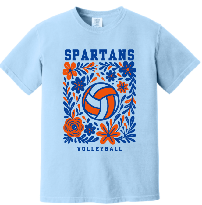 bb volleyball.png