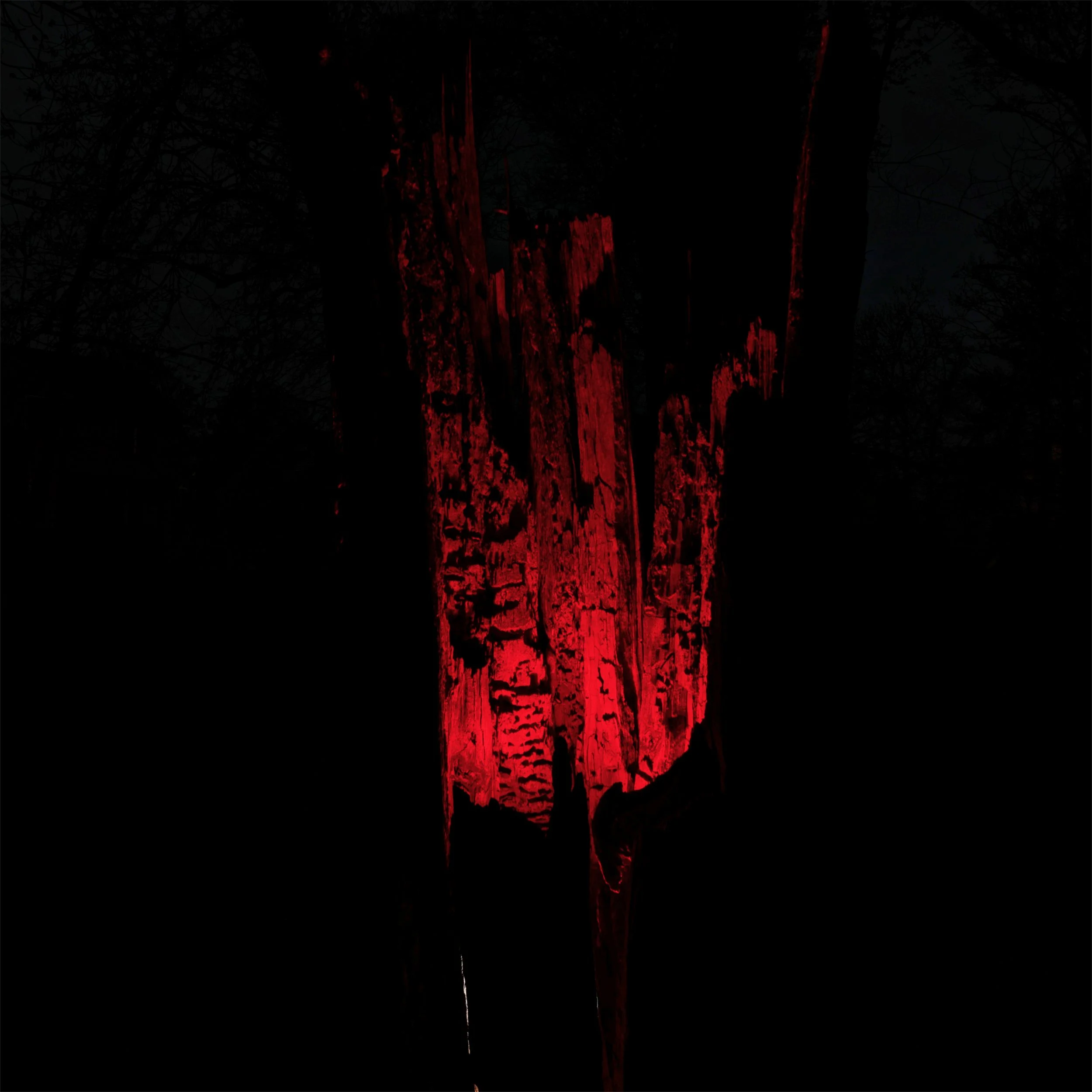 9_T_L5124_BW Husk_red blast 20pct.jpg
