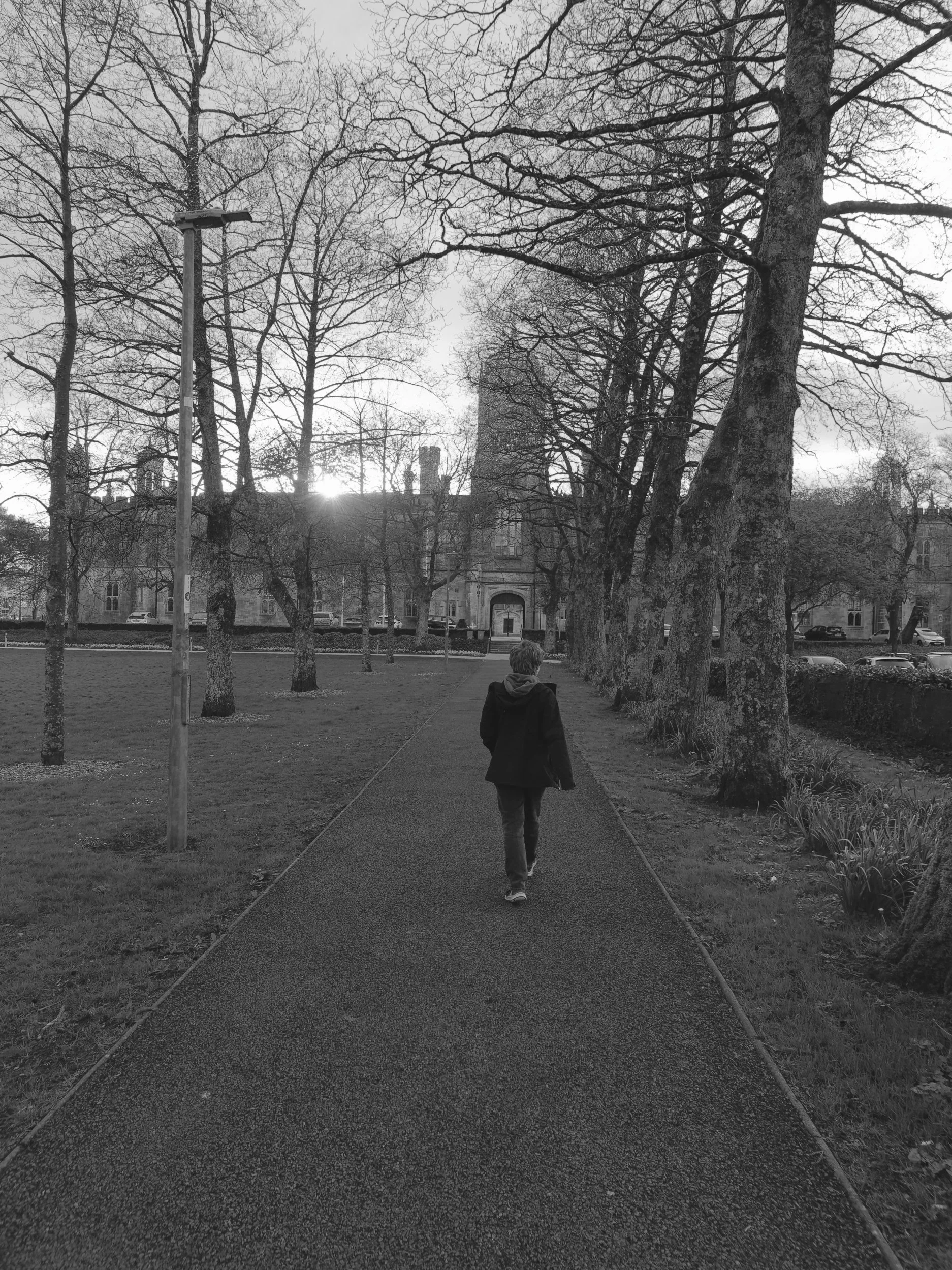 P1032336nuigway.jpg