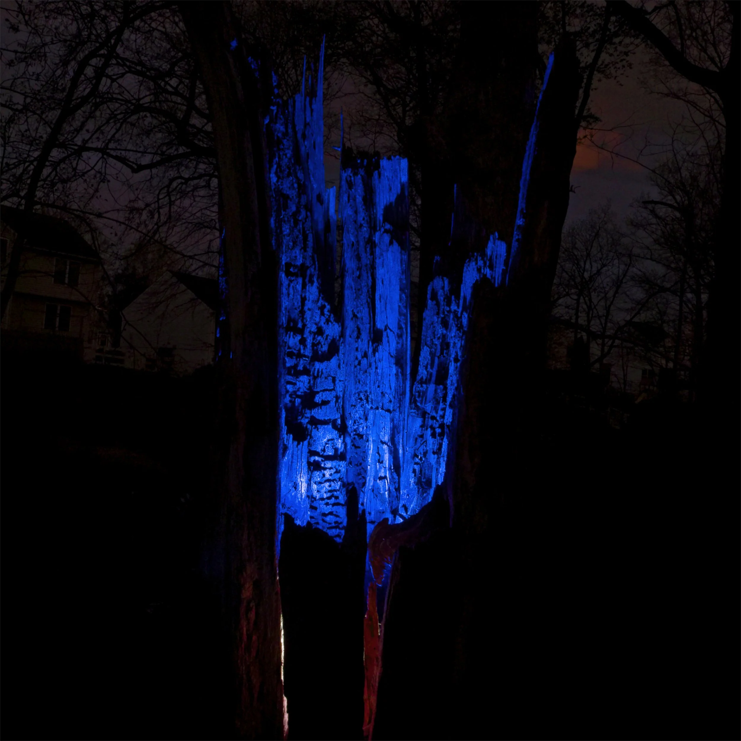 10_T_L5110Blue stumpy 1_BW Husk_blast20pct.jpg