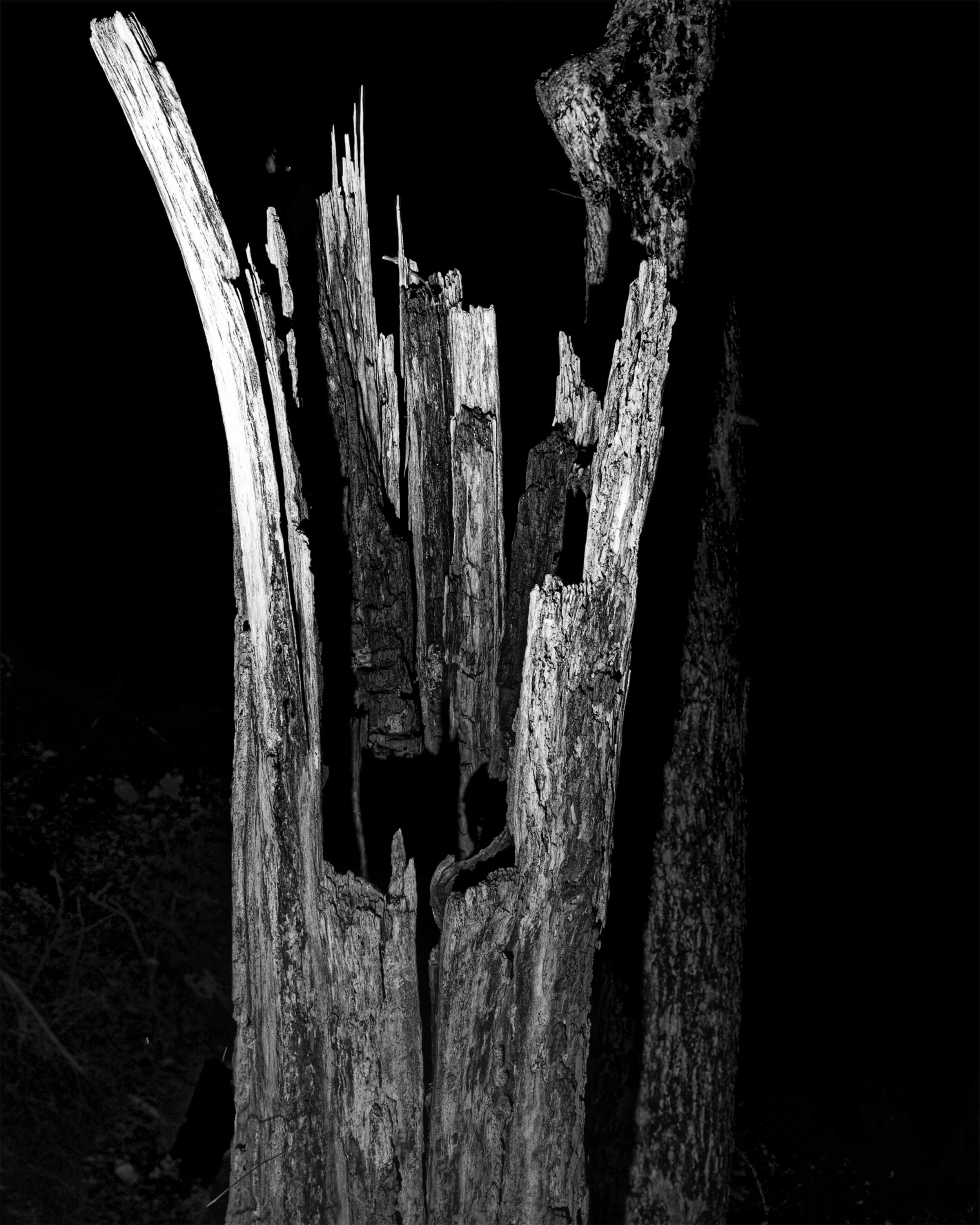 _04_4620_BW Husk_BW Husk_Burn out 15pct.jpg