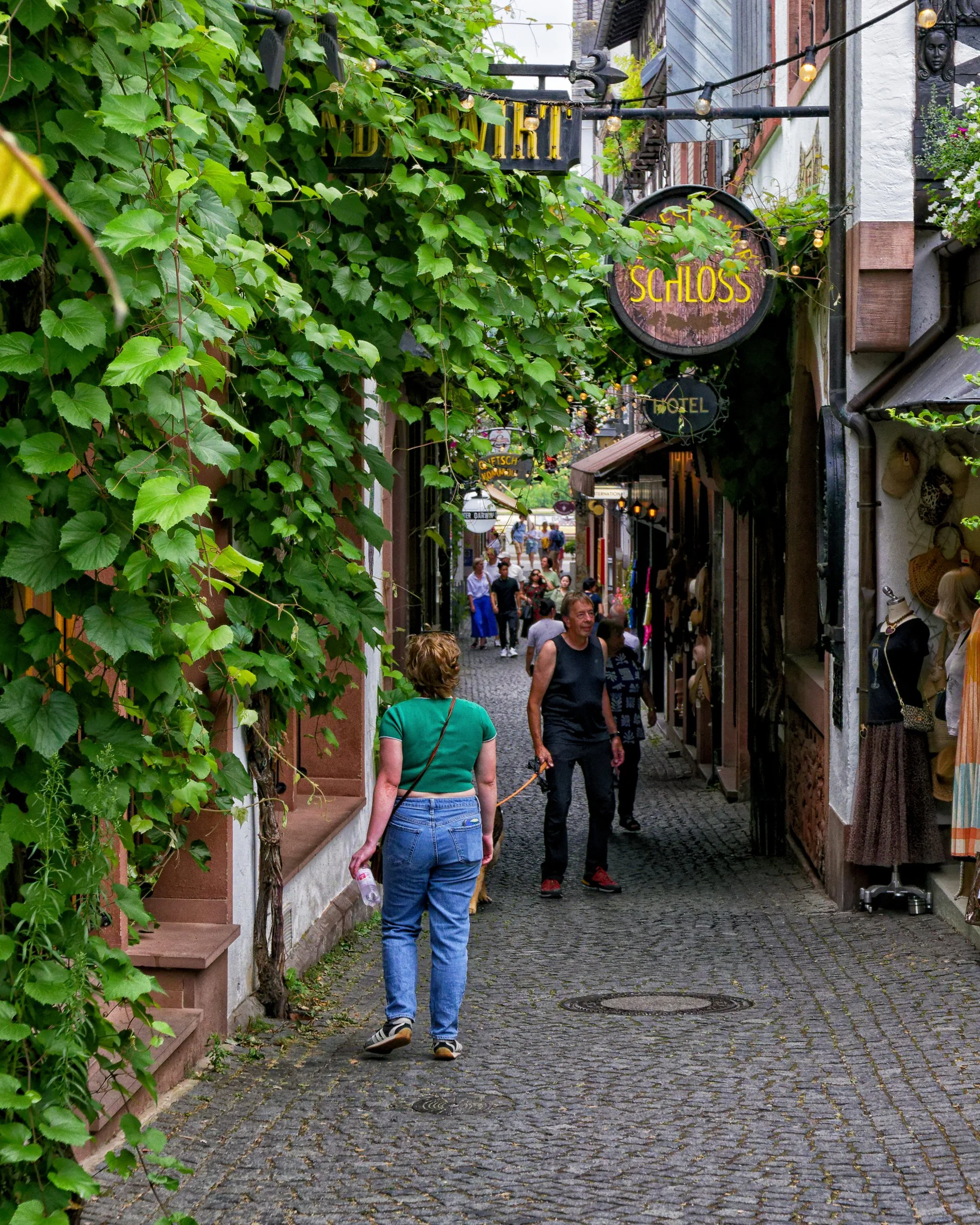 P1034640_Nikstreets of Drosselgass.jpg