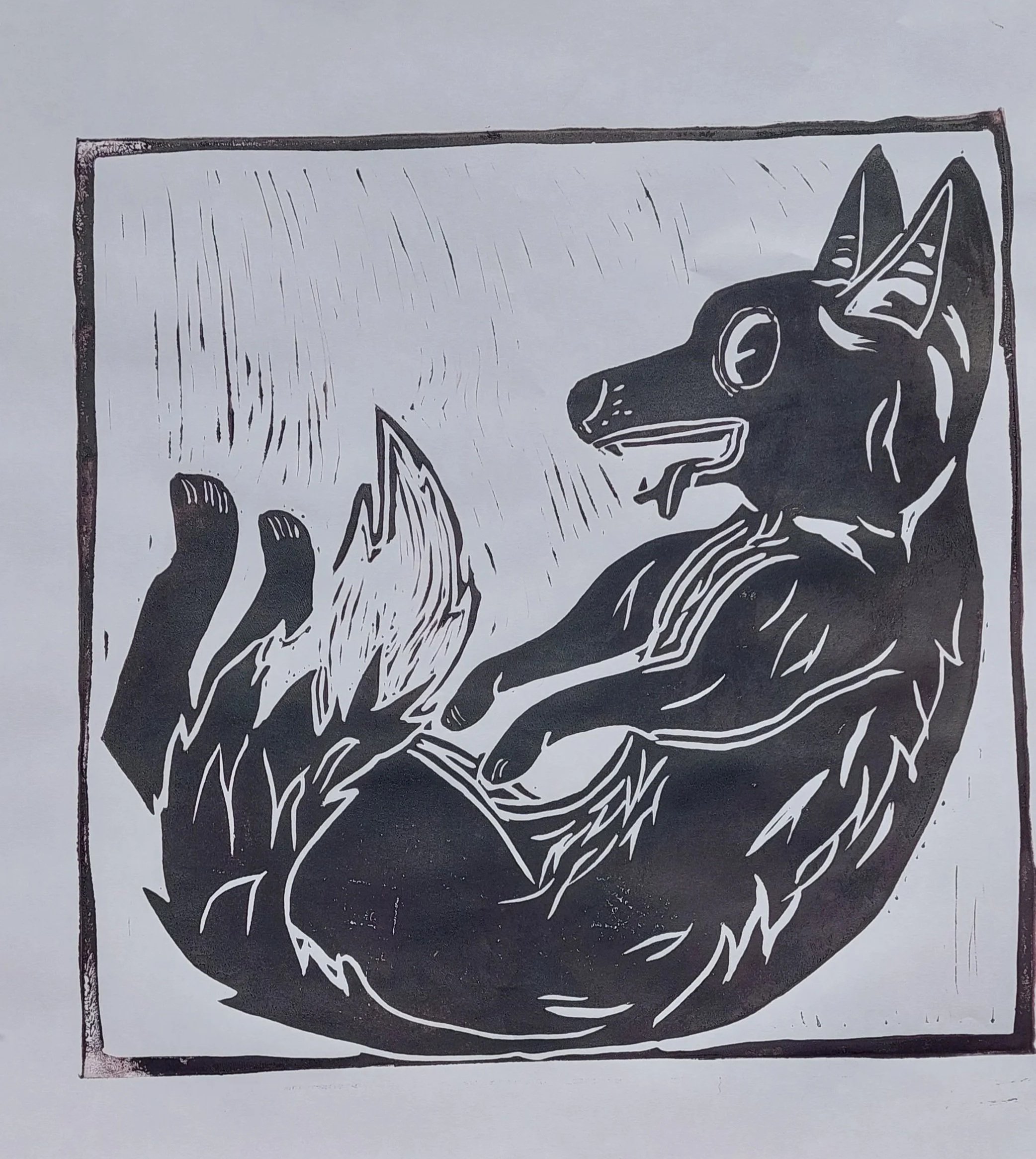 "Fox... in a box"