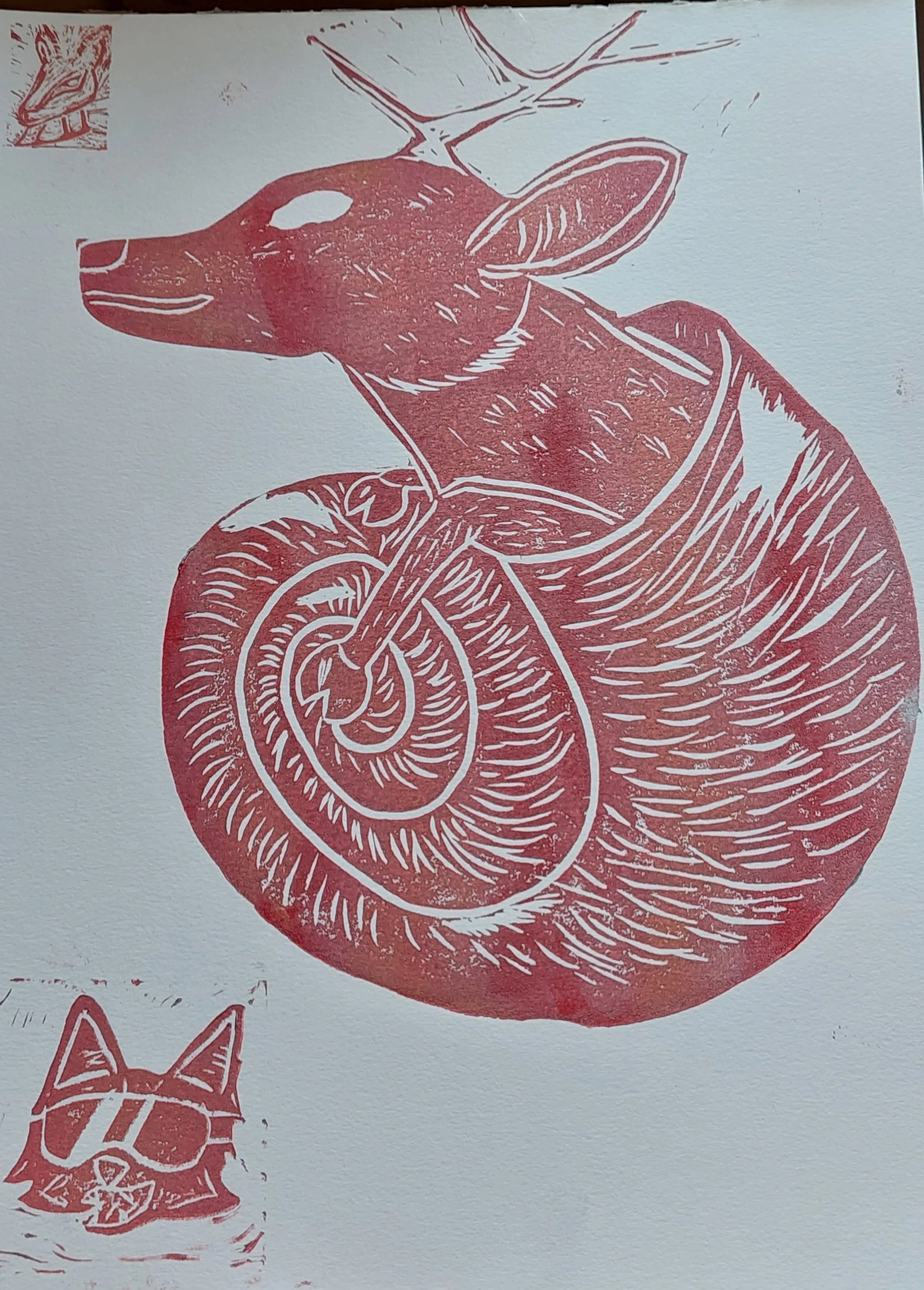 "Snail deer"