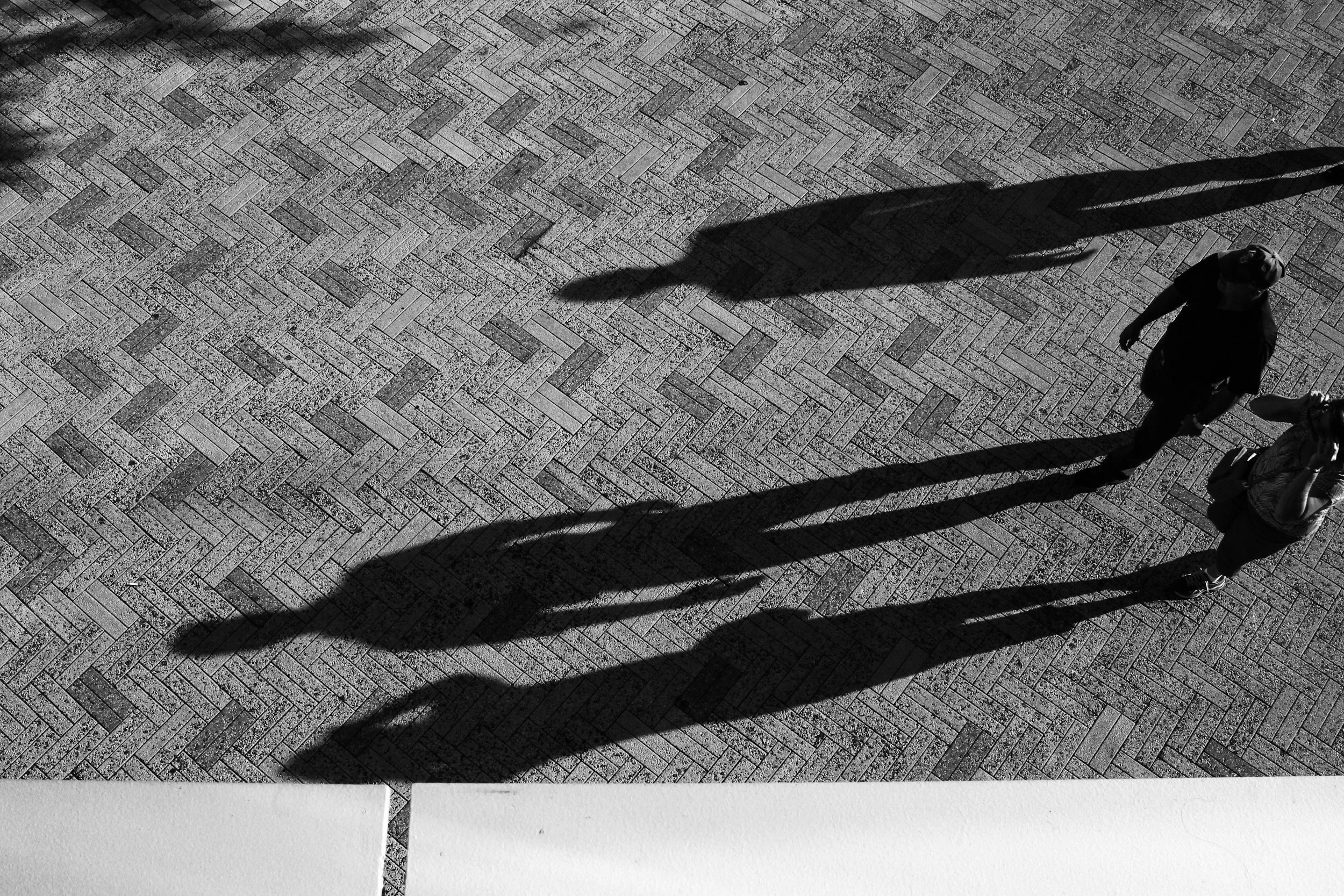 picture of people facing their shadows