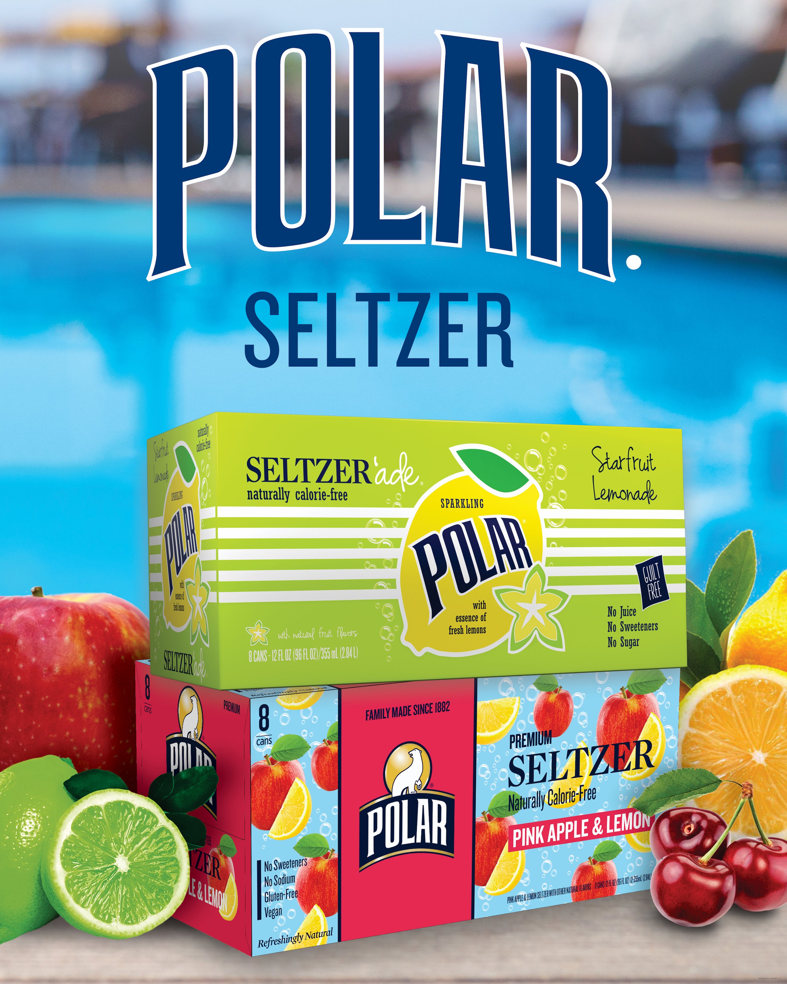 Polar Seltzer Indoor Banner (48"x60")