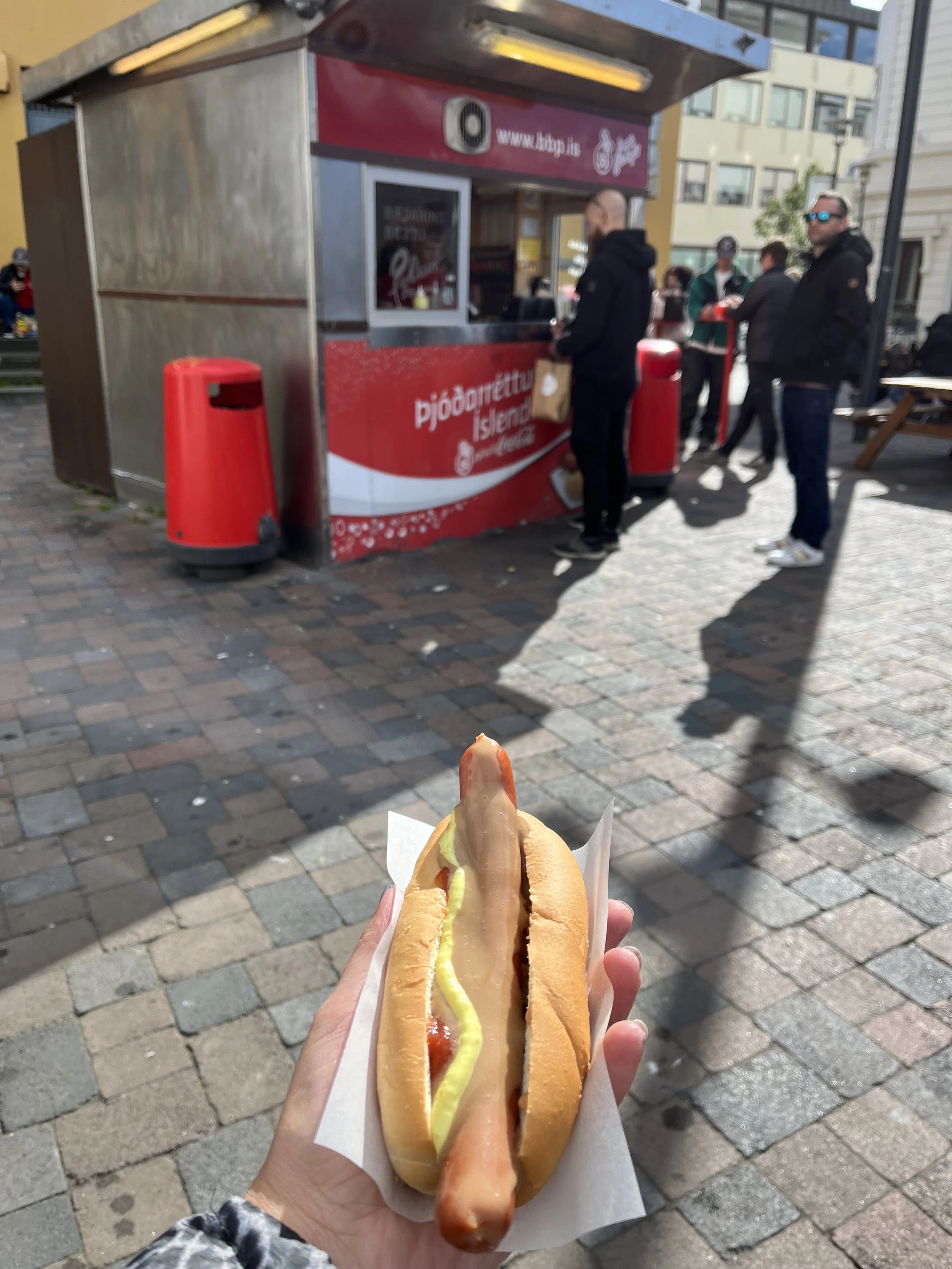 IMG_3542.jpeg