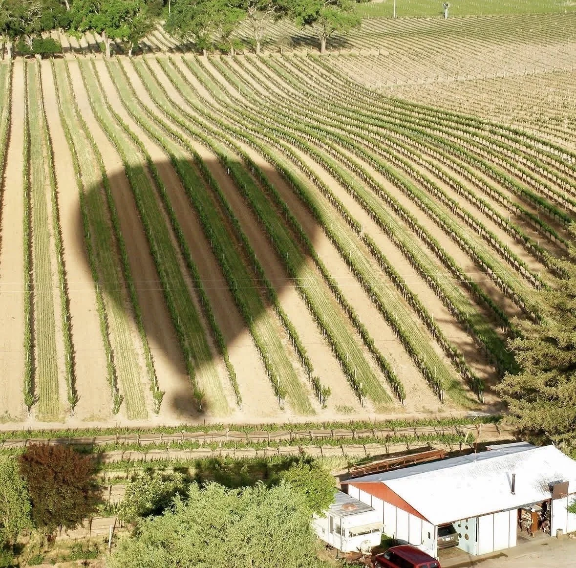 Flying Above Napa Valley, California