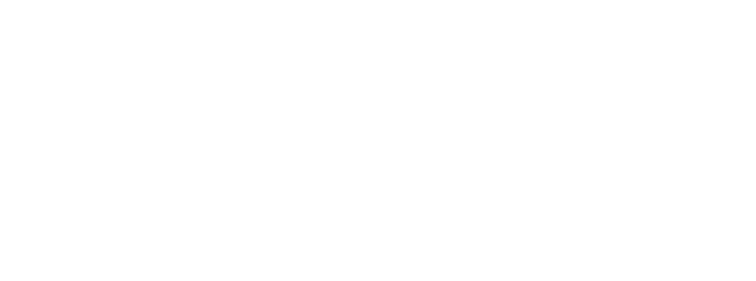 Karli Media Logo