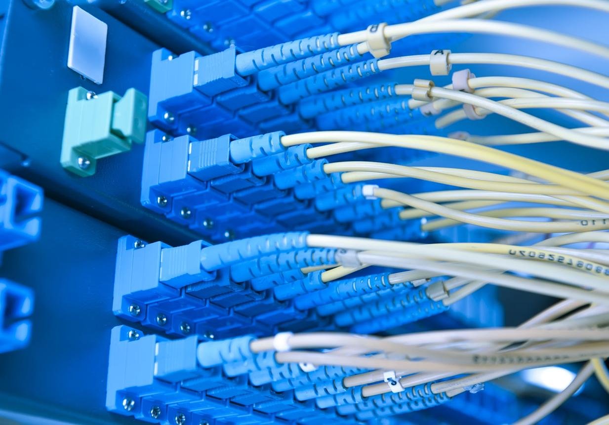 Close-up of blue fiber optic patch panel with multiple white cables connected