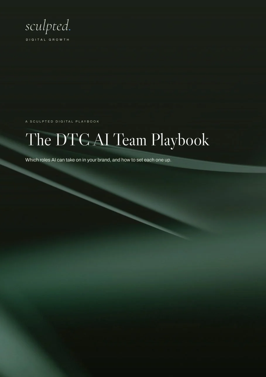 04-dtc-ai-team-playbook-1.jpg