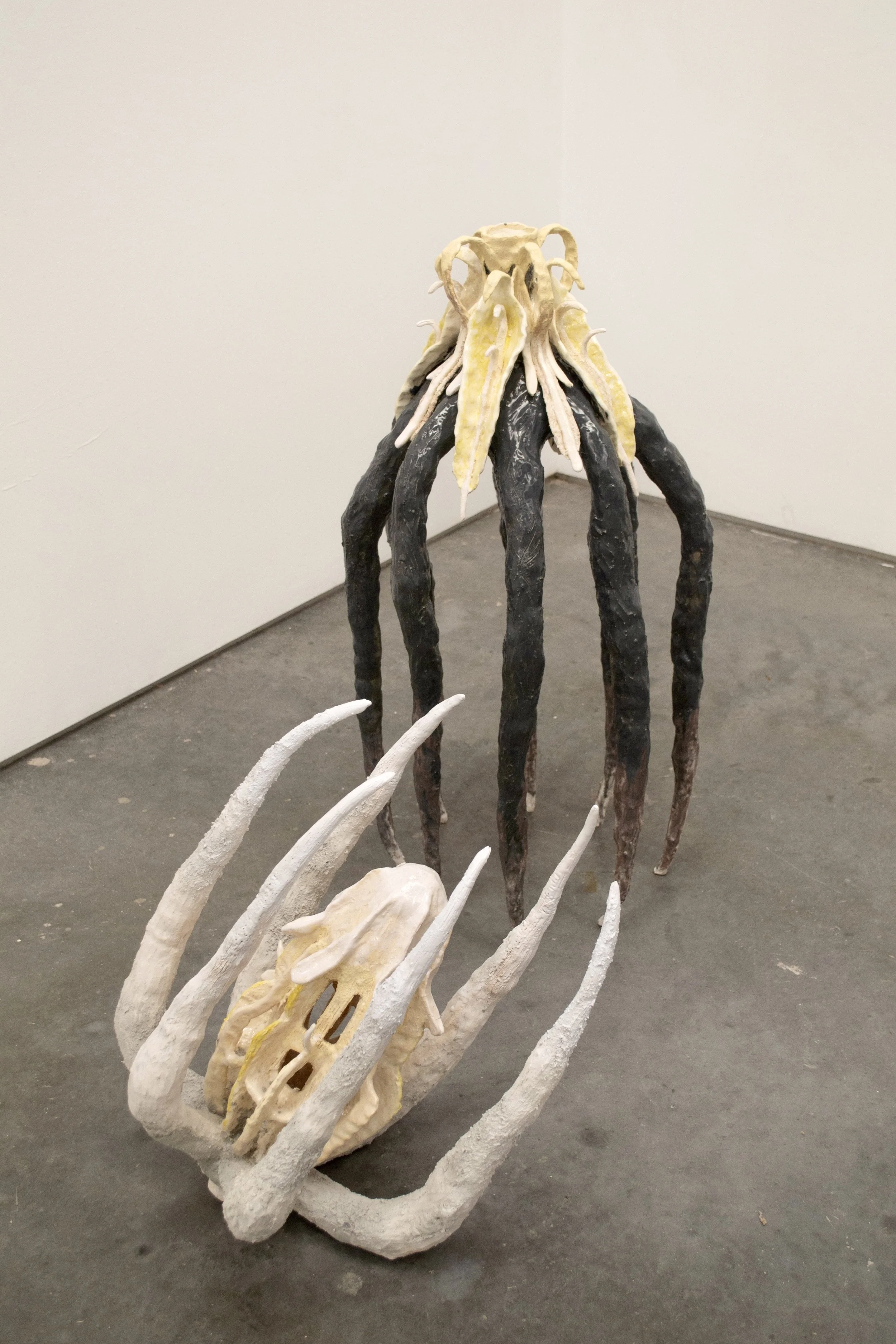DSC_4694.jpg