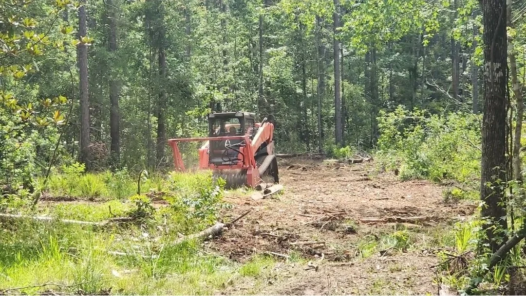 A small red bulldozer working on clearing a forest trail surrounded by green trees and bushes.