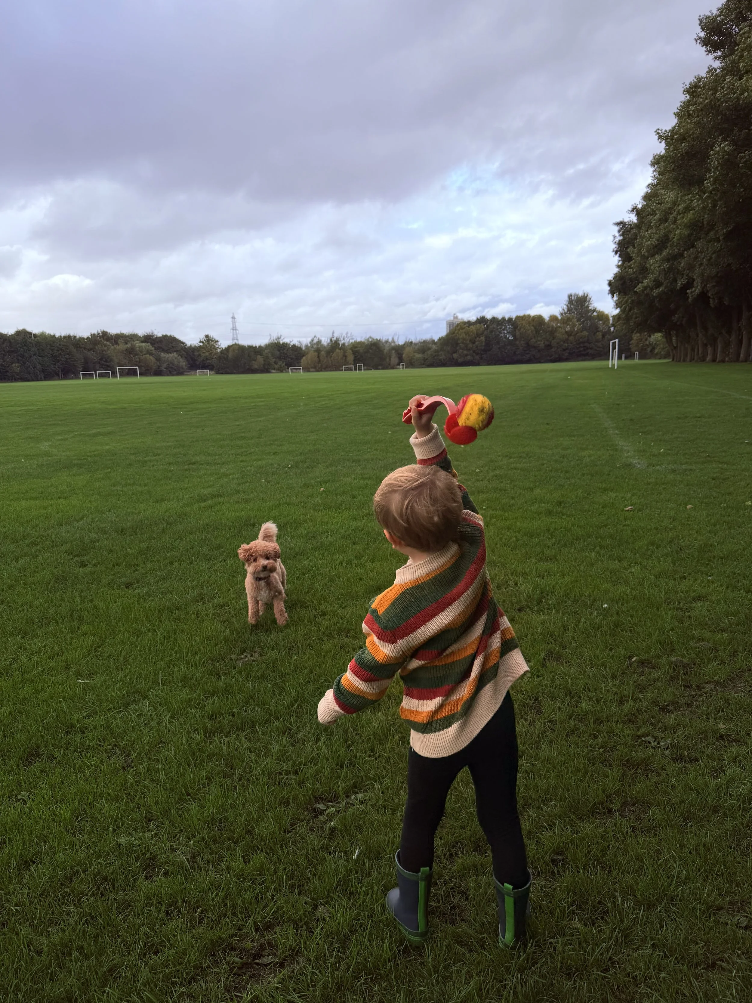 A child wearing a striped sweater and rain boots holding a toy with a yellow head and red arms, standing on a grassy field with a small dog nearby, and a cloudy sky overhead.